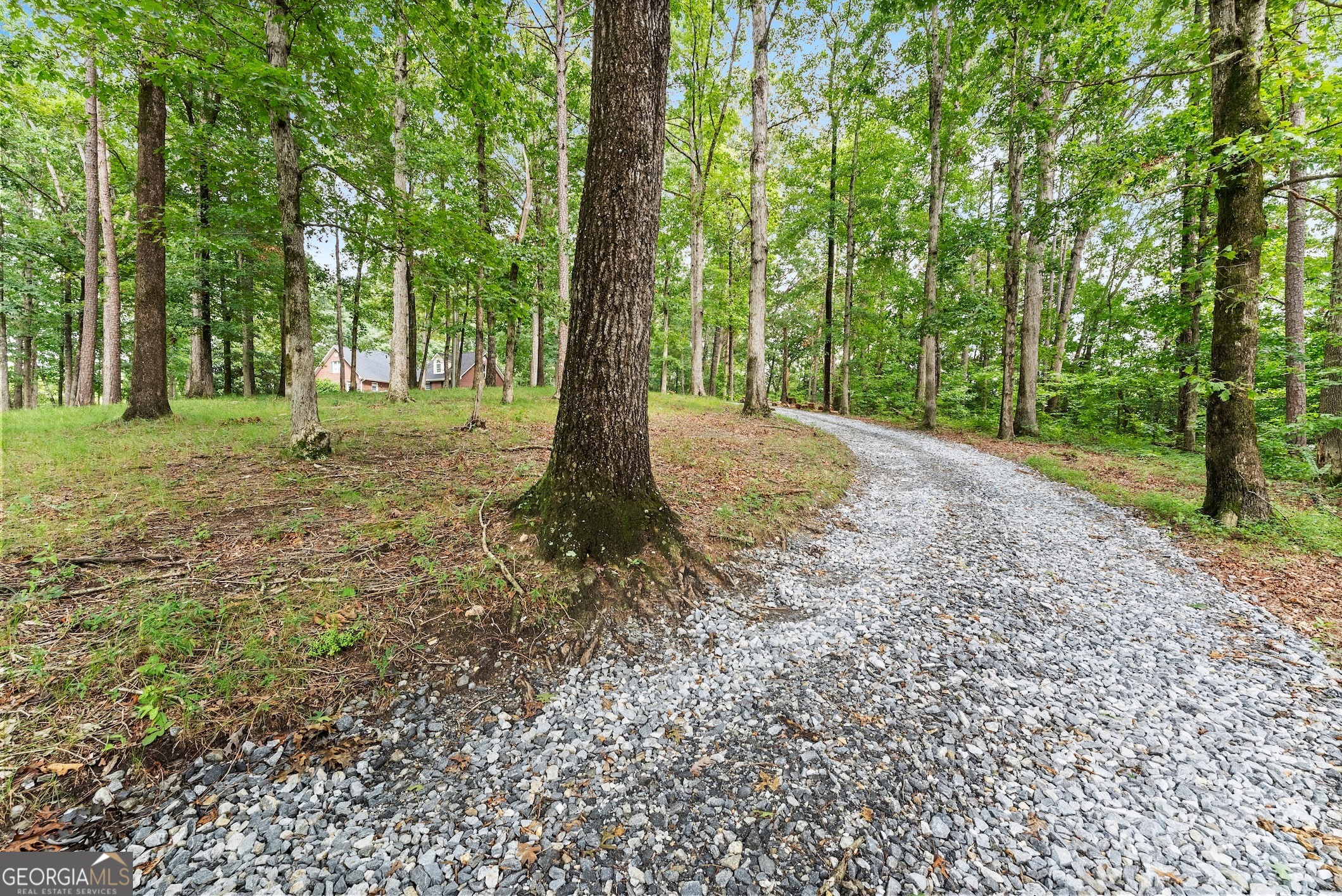 1509 Yonah Homer Road