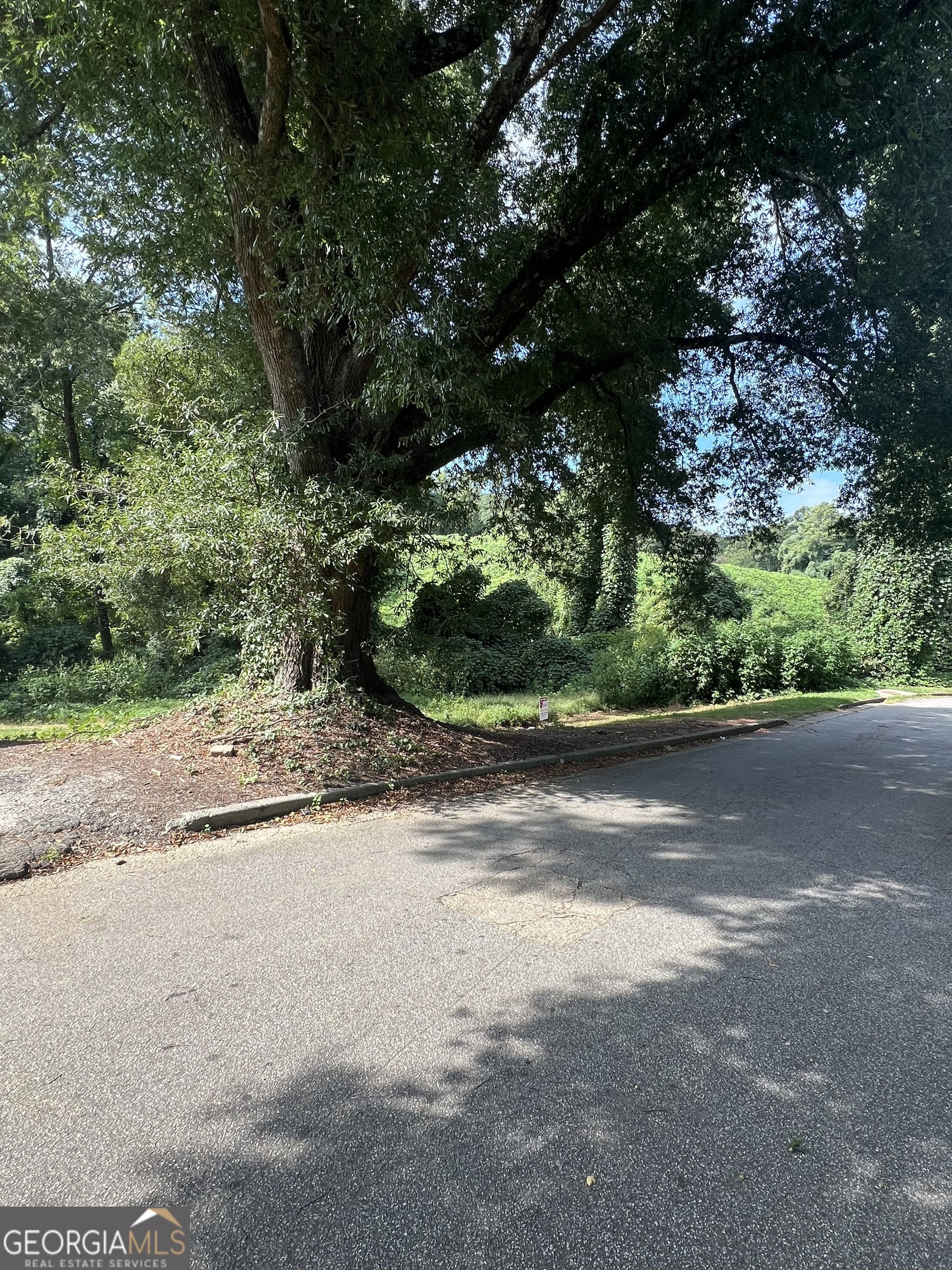 3253 Blanton Drive