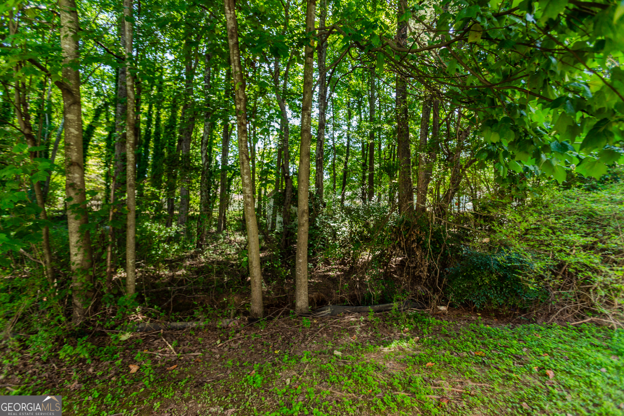 922 Lakeside Court