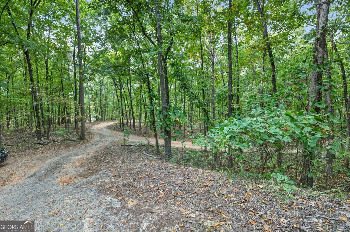 256 Robin Hood Lane NE
