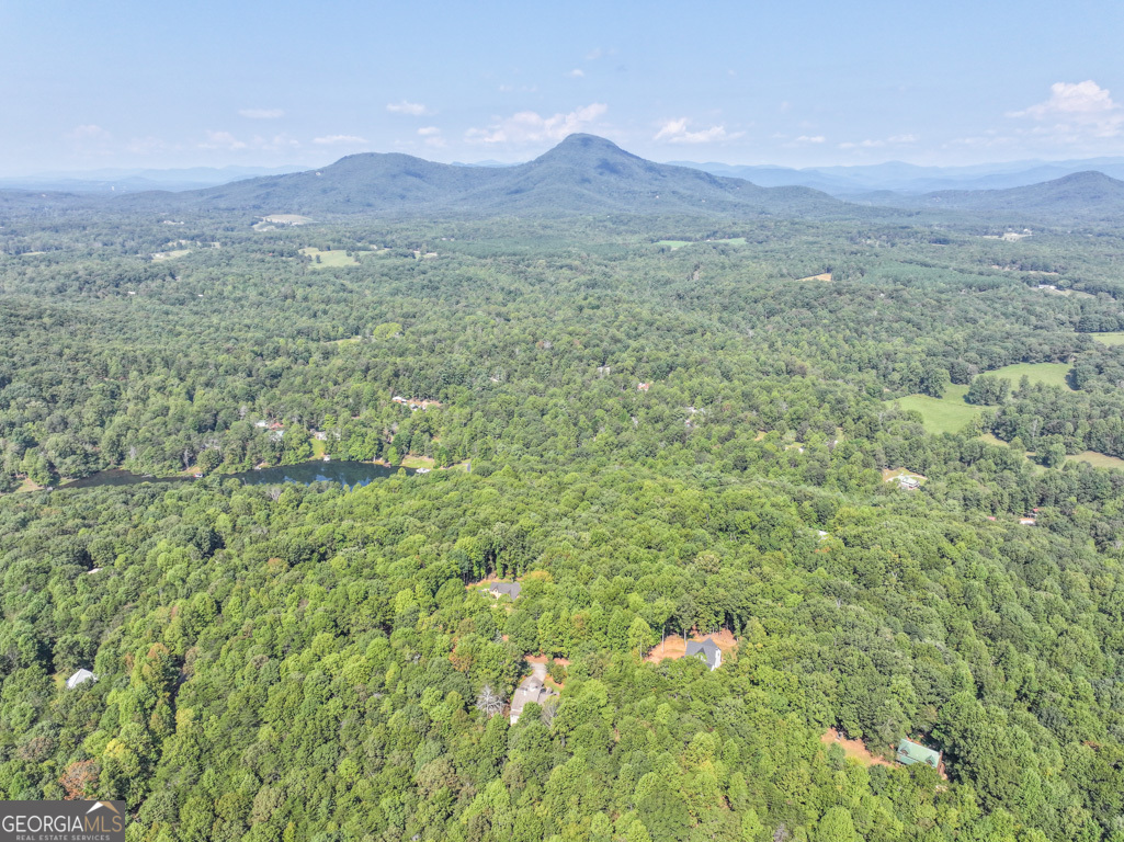 811 Merck Road