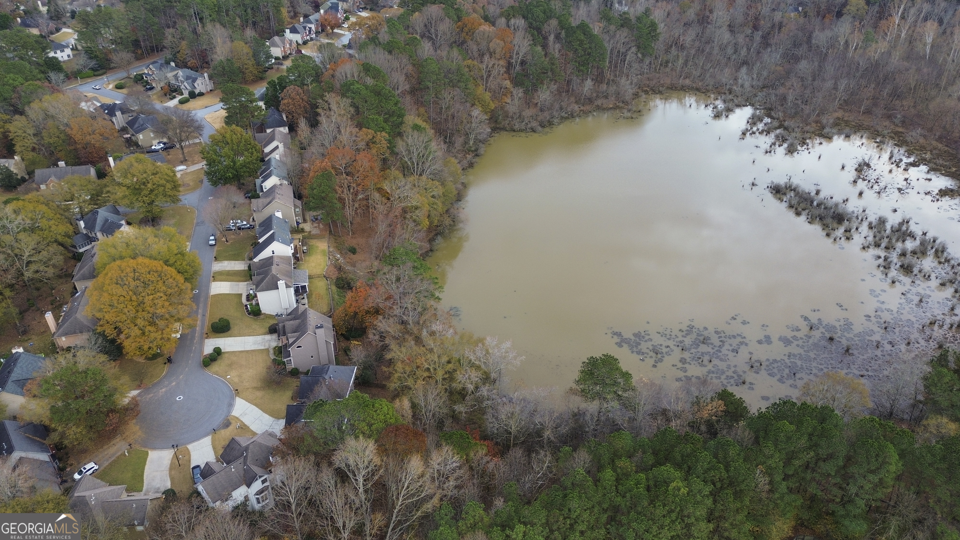 325 Morning Mist Walk