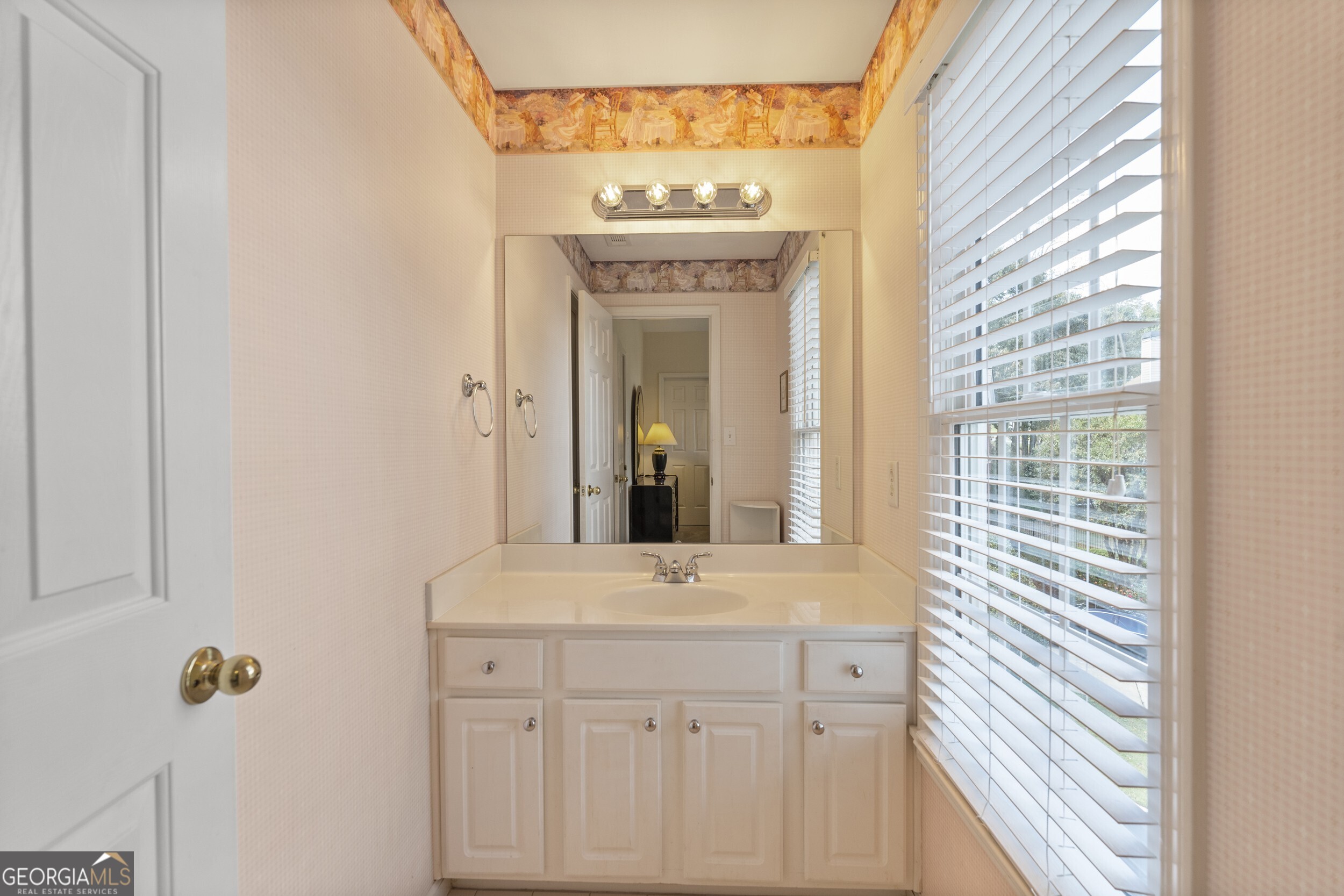 3763 Terrace Hedge Court, Dacula