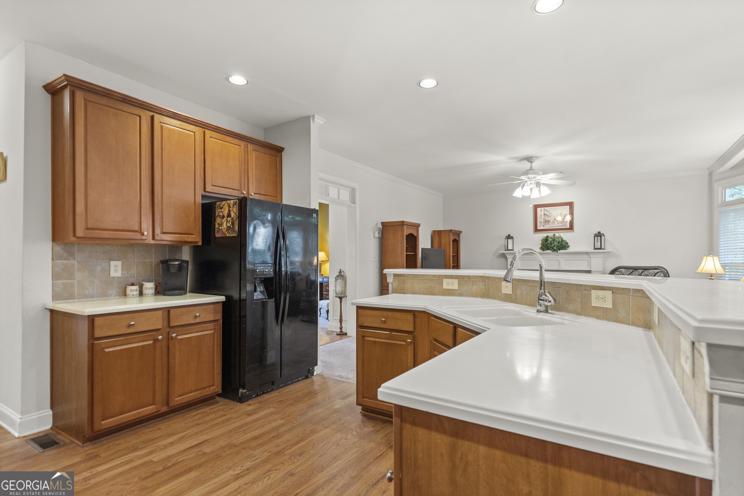 3763 Terrace Hedge Court, Dacula