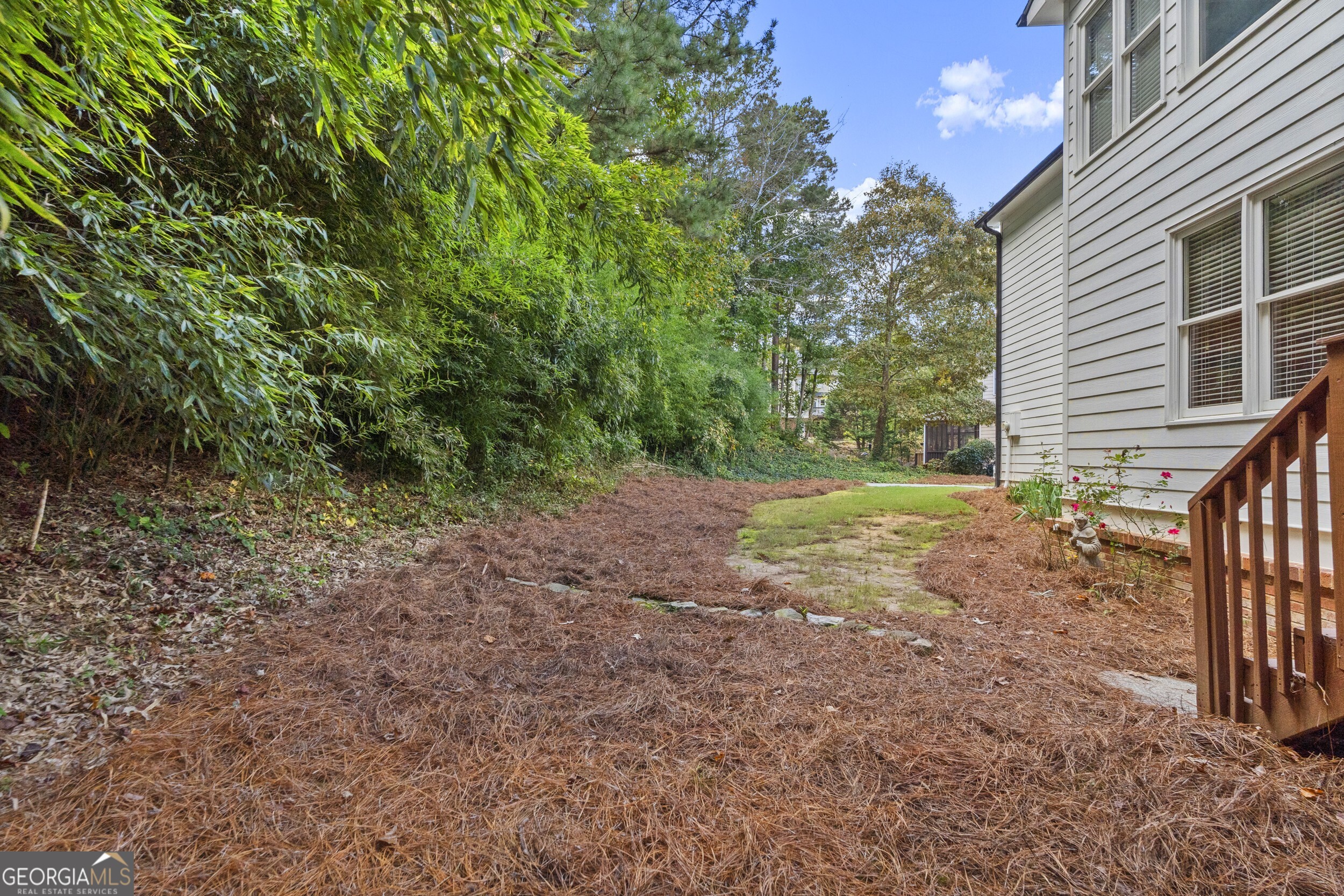 3763 Terrace Hedge Court, Dacula