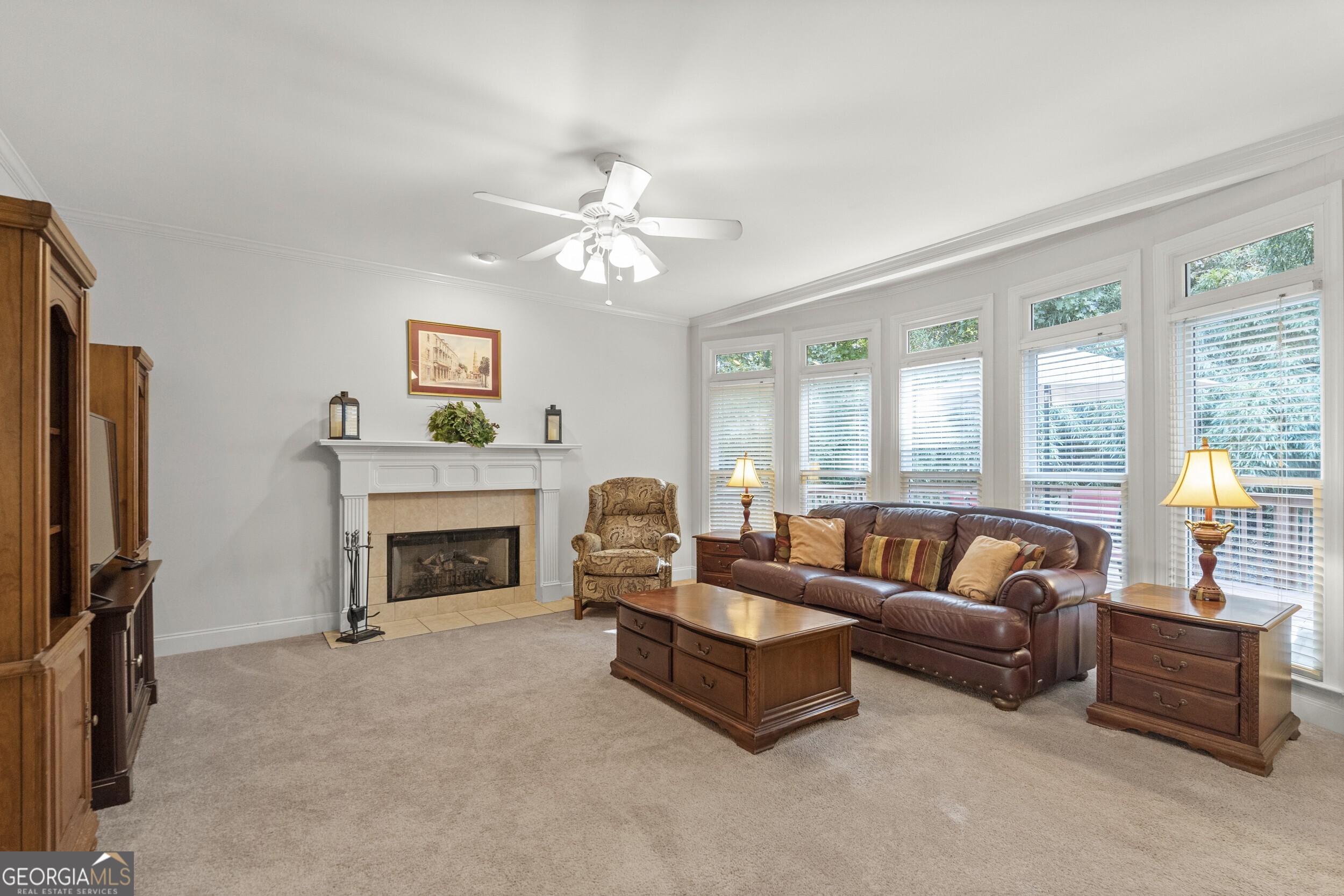 3763 Terrace Hedge Court, Dacula