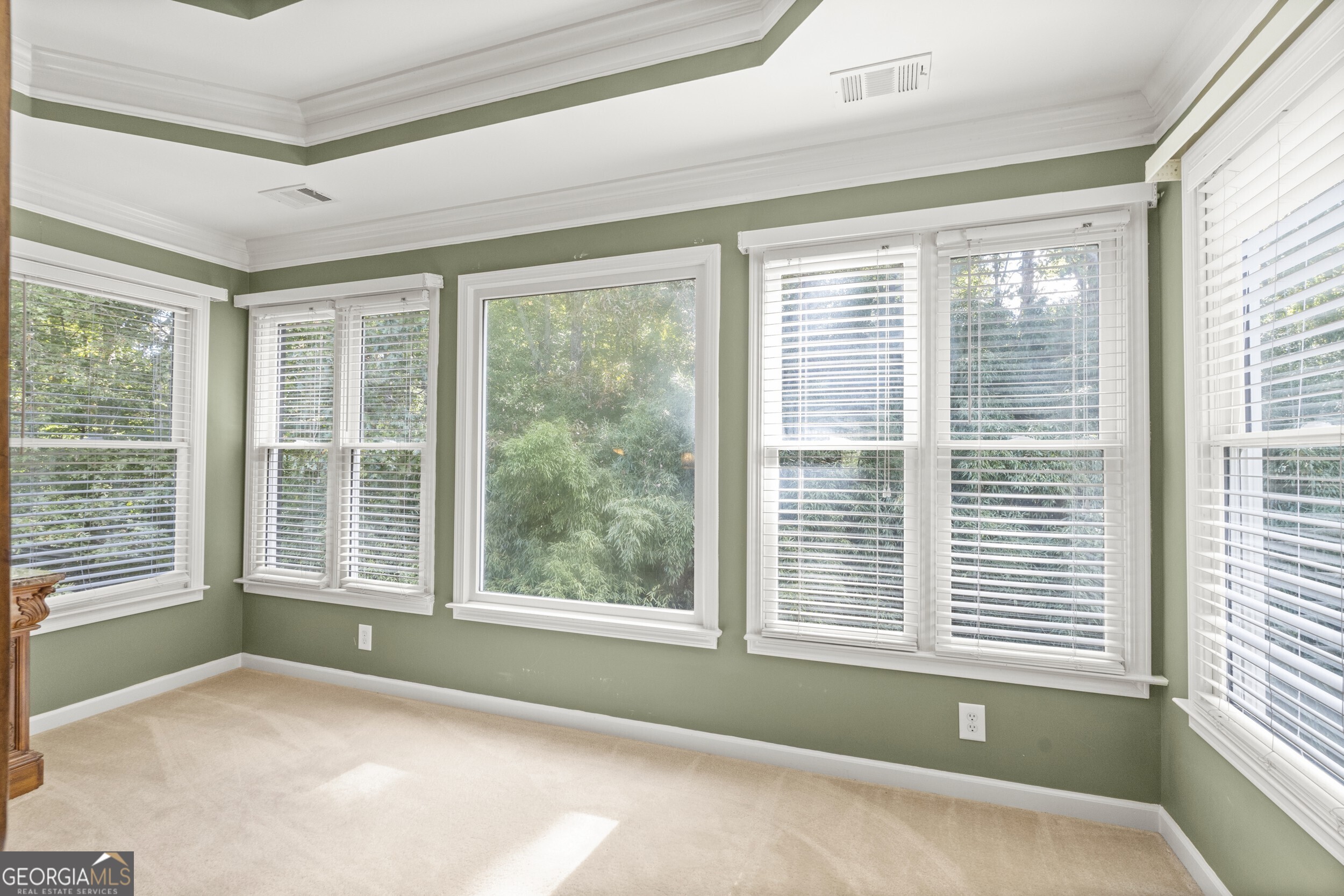 3763 Terrace Hedge Court, Dacula