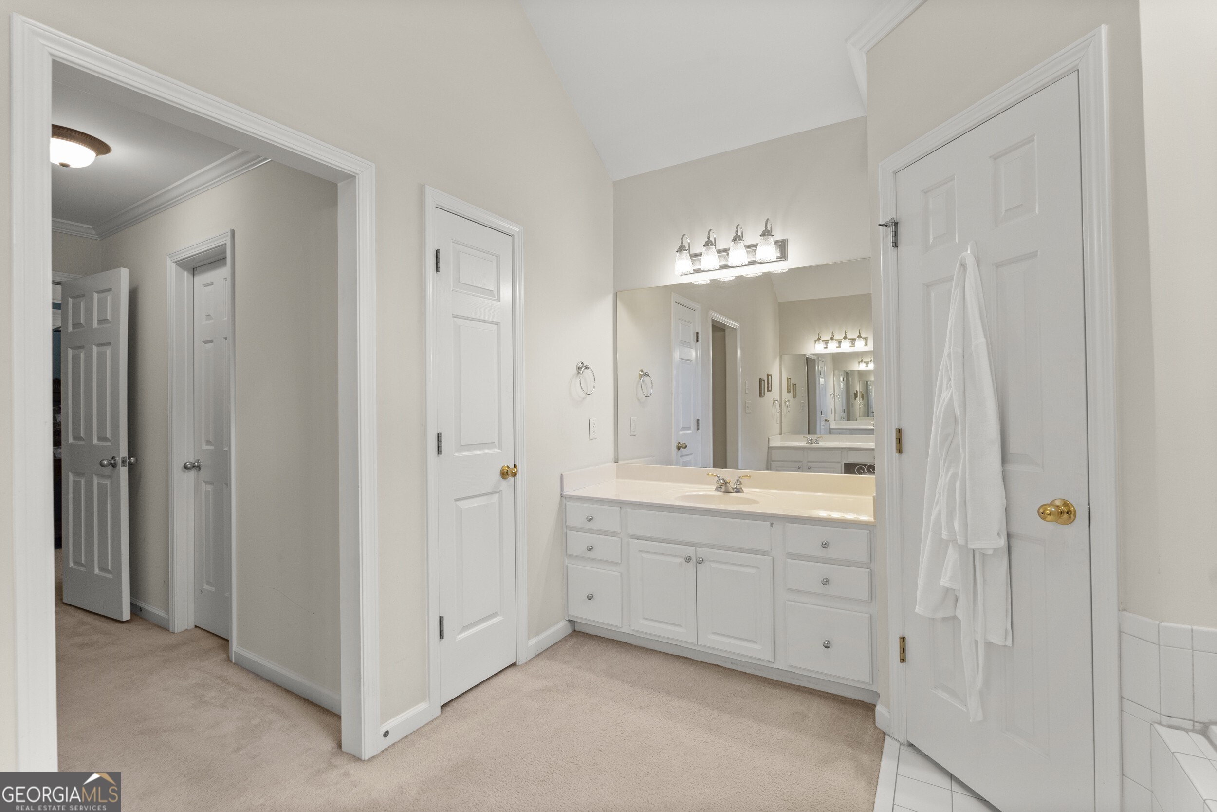 3763 Terrace Hedge Court, Dacula