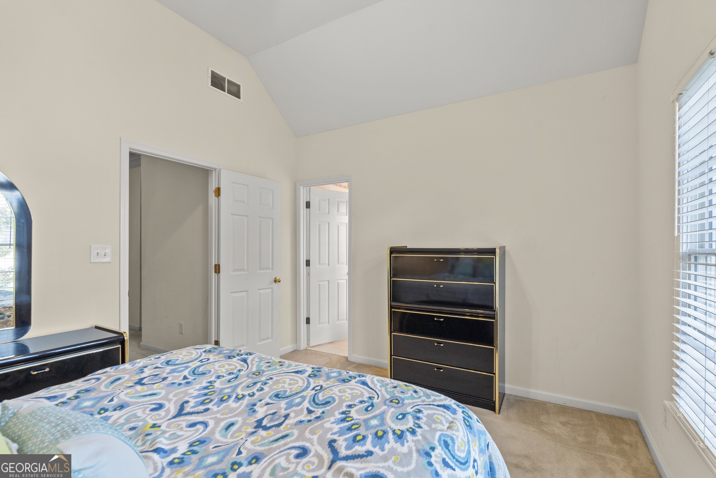 3763 Terrace Hedge Court, Dacula