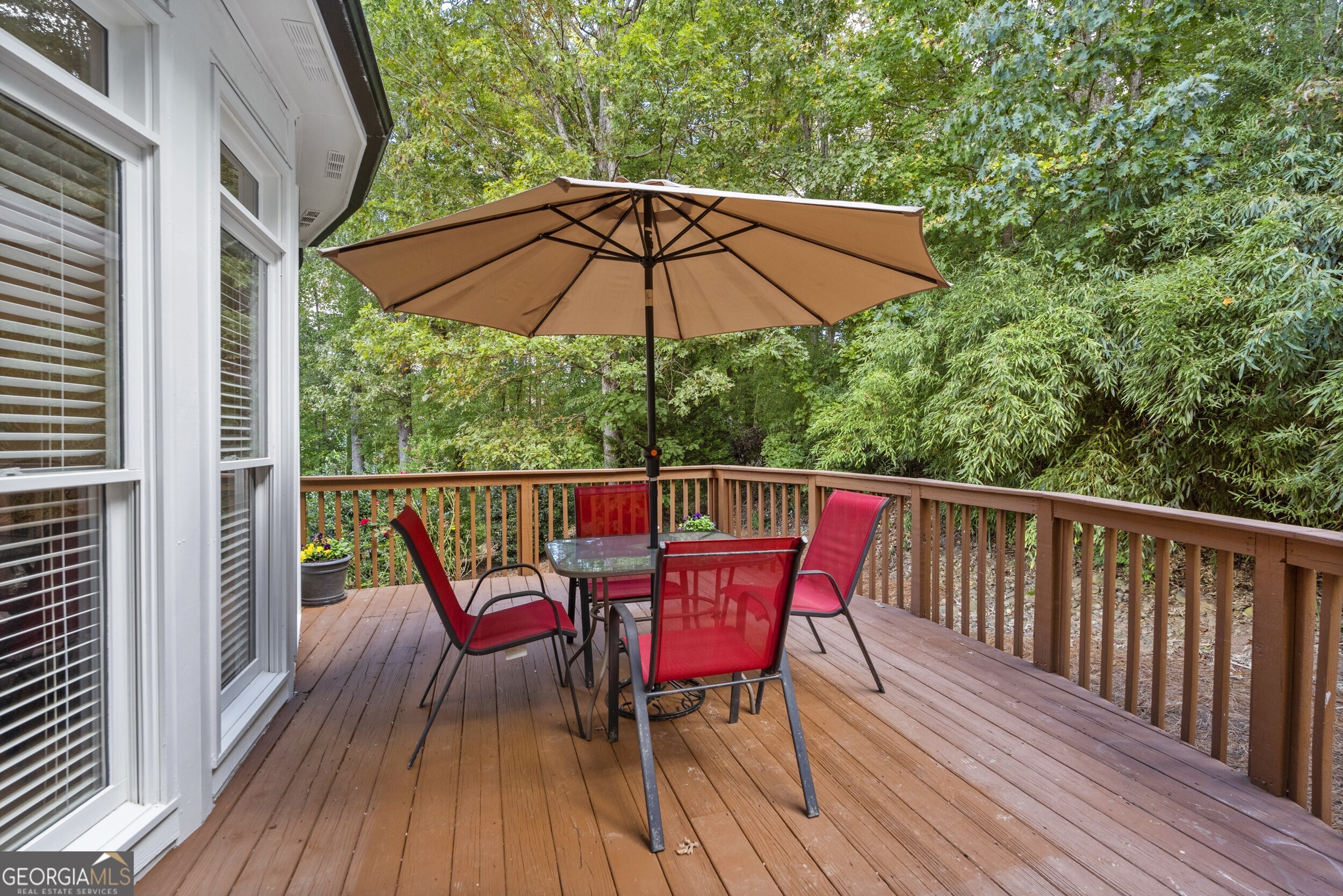 3763 Terrace Hedge Court, Dacula