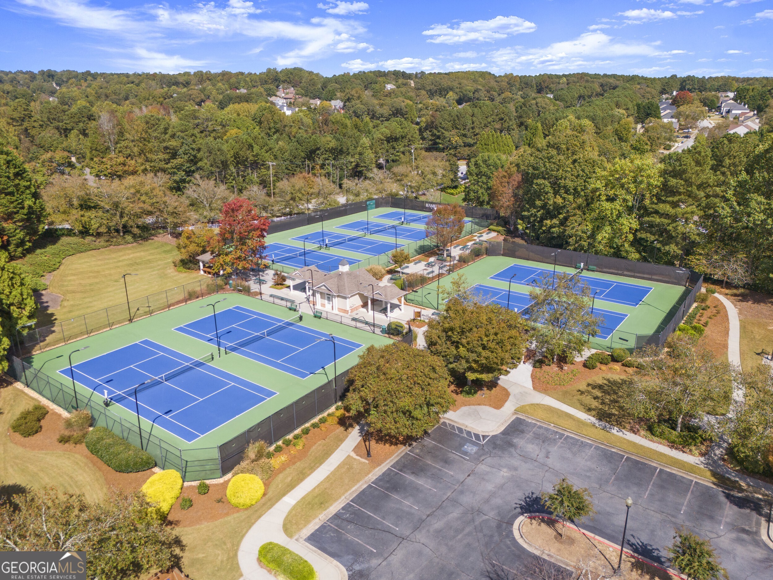 3763 Terrace Hedge Court, Dacula