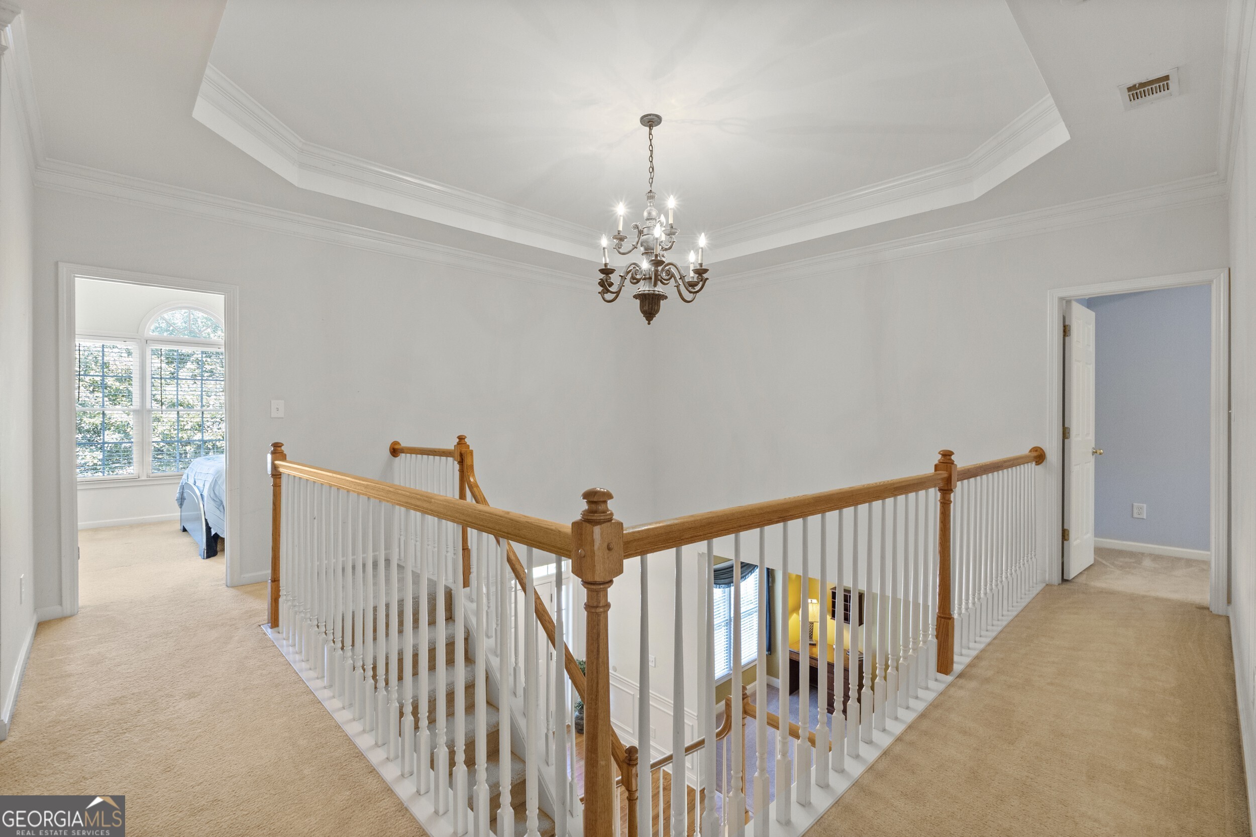 3763 Terrace Hedge Court, Dacula