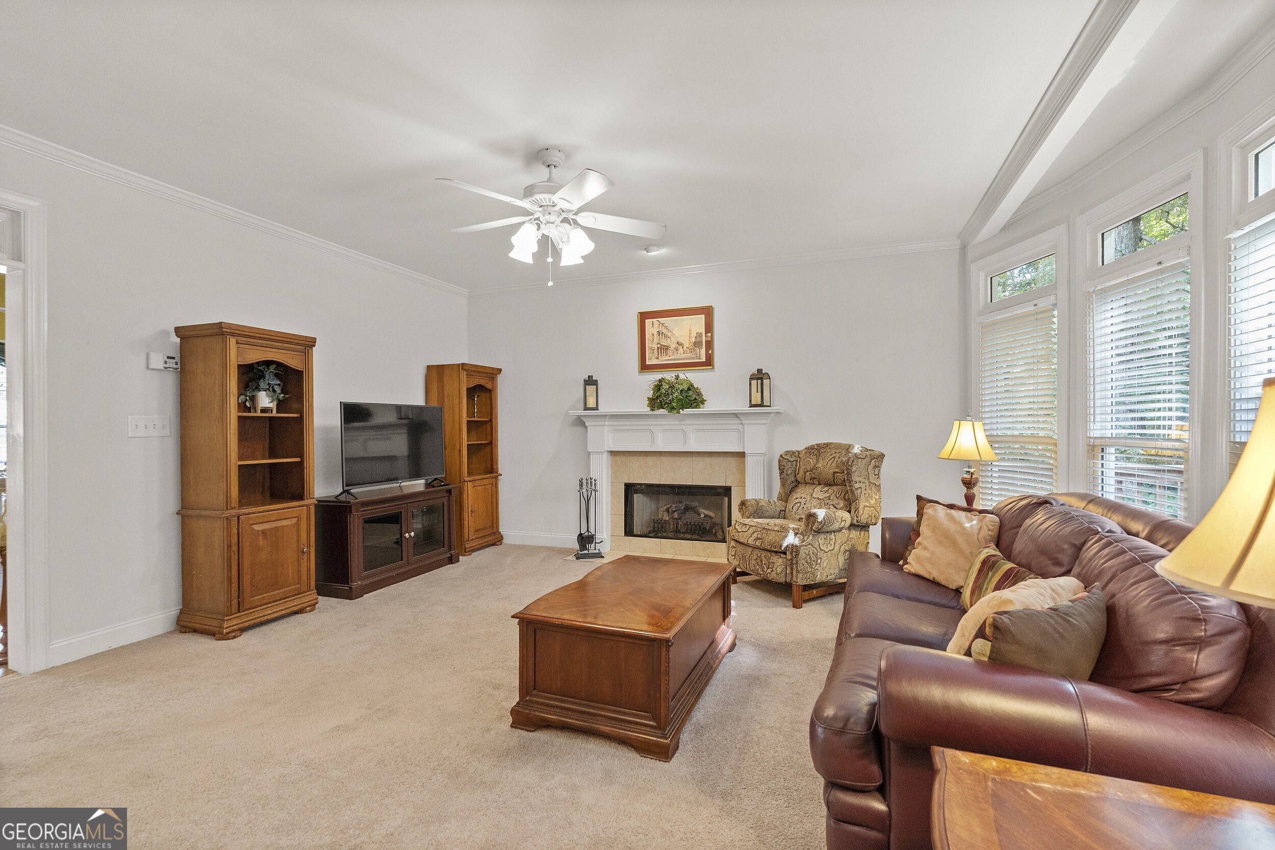 3763 Terrace Hedge Court, Dacula