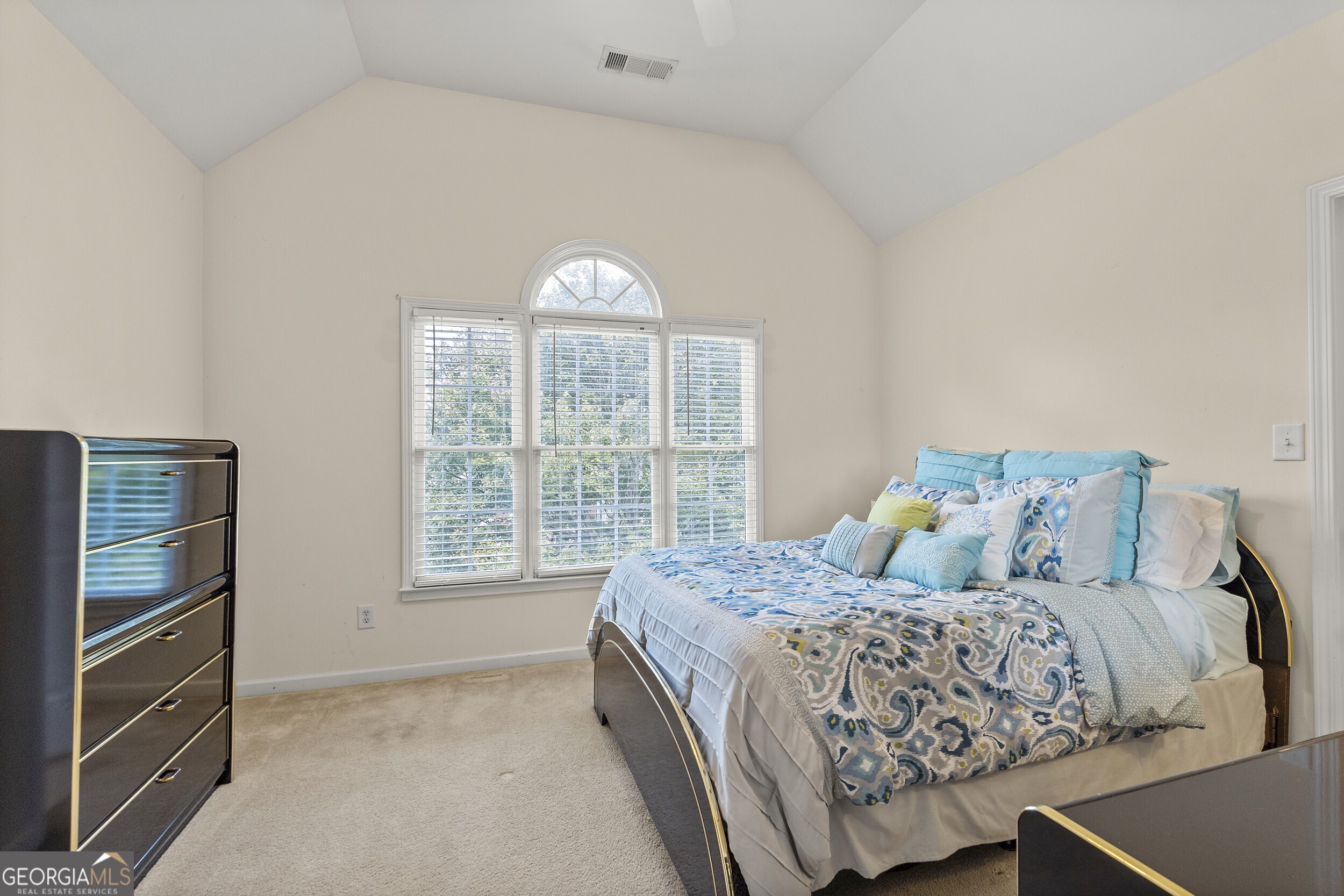 3763 Terrace Hedge Court, Dacula