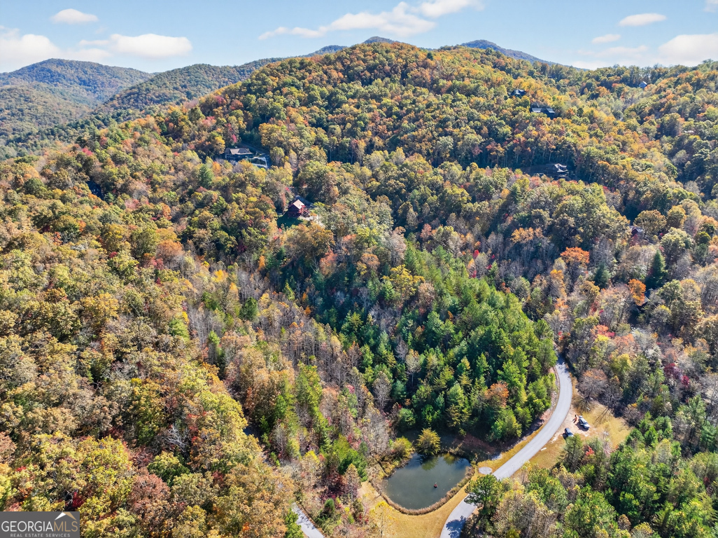 7111 Tantrough Road, Hiawassee