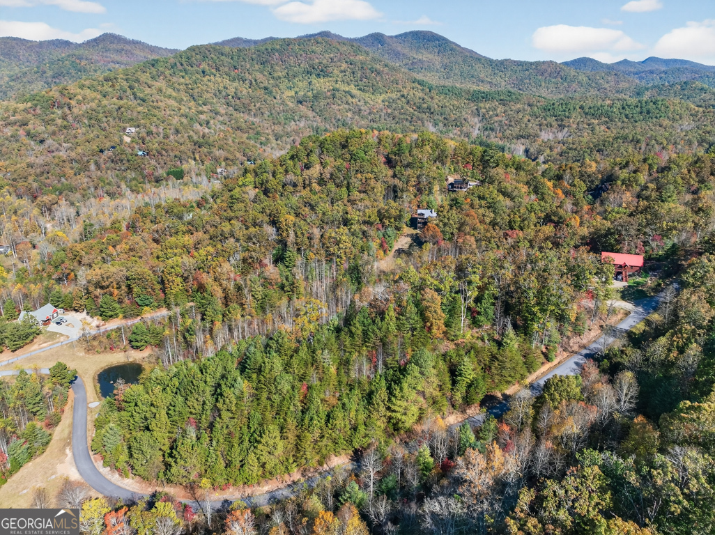7111 Tantrough Road, Hiawassee