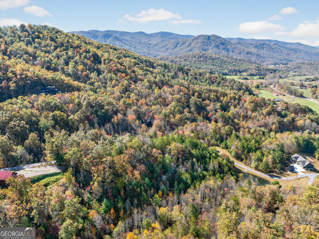 7111 Tantrough Road, Hiawassee