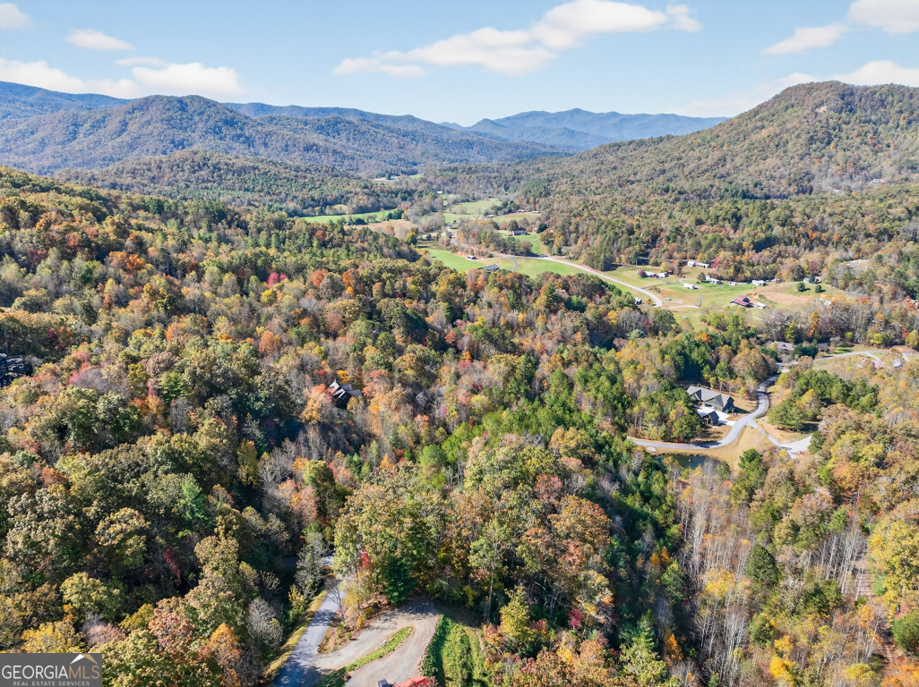 7111 Tantrough Road, Hiawassee