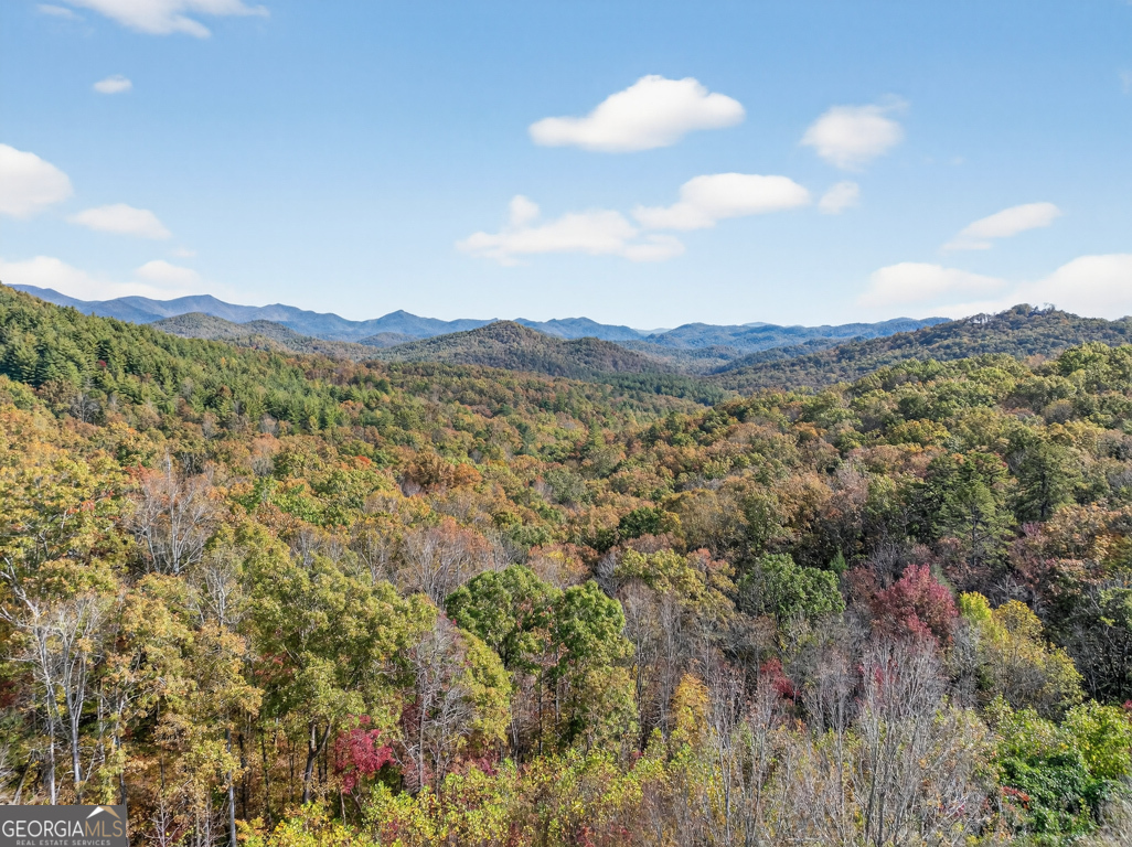 7111 Tantrough Road, Hiawassee