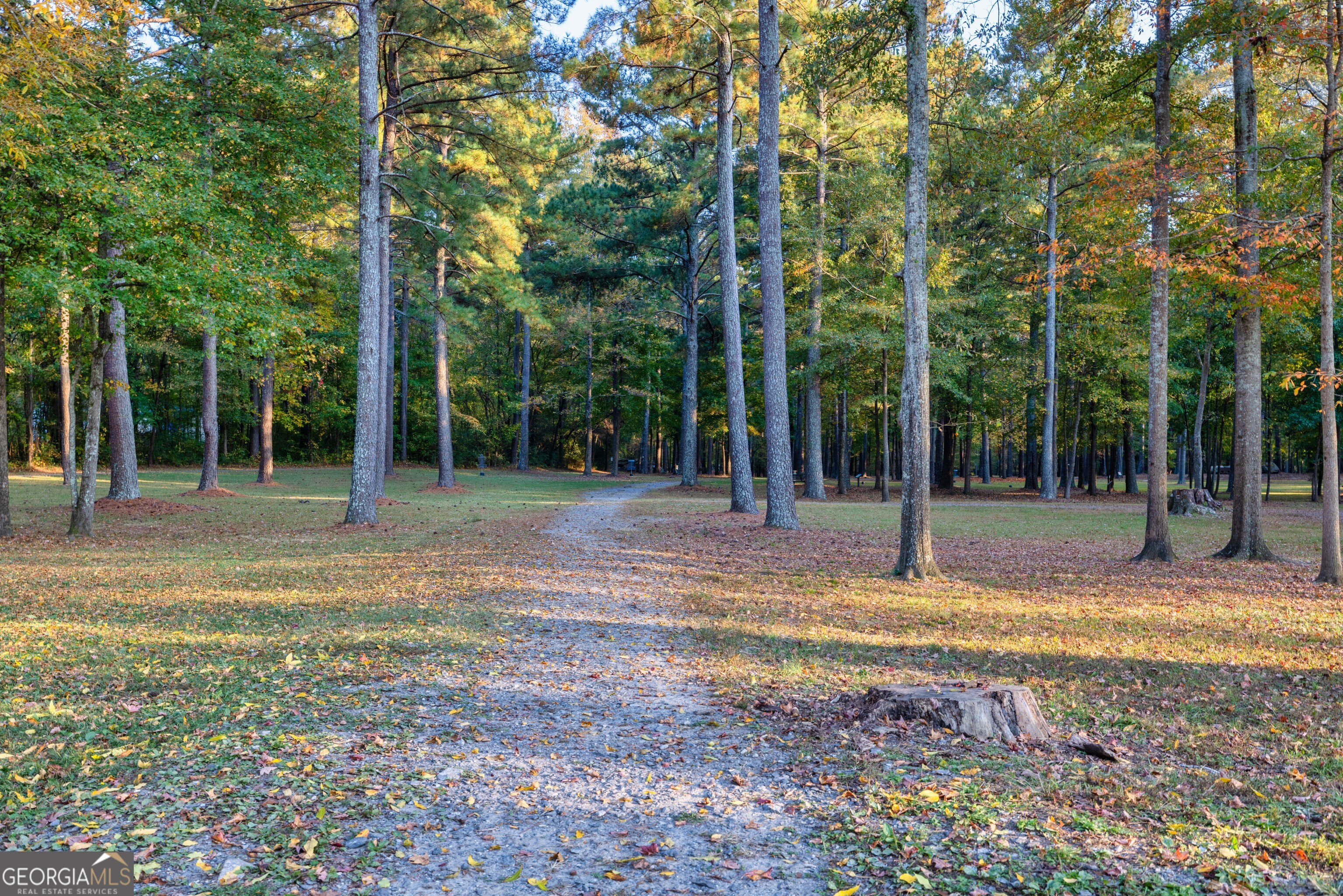 2965 Jefferson Street