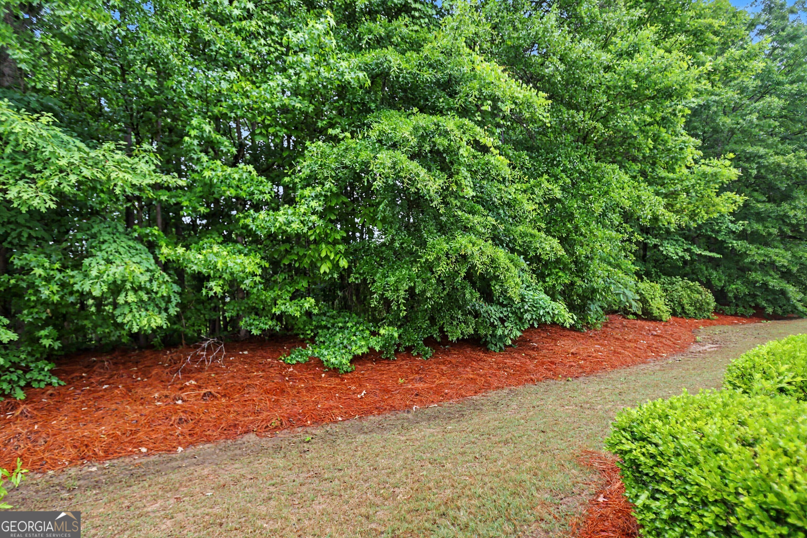 115 Creekside Court