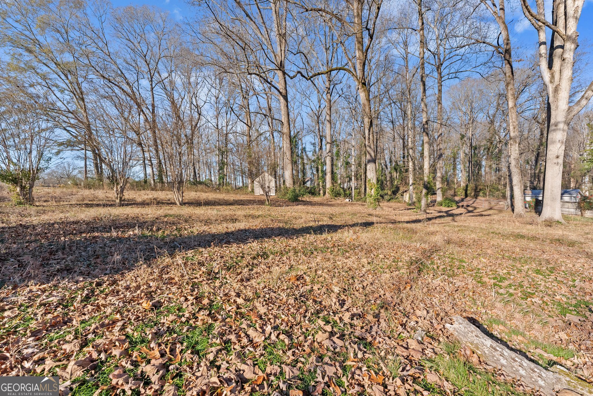 103 Grove Level Drive