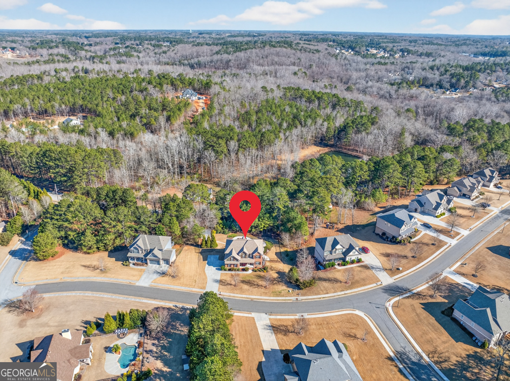 1393 Silver Thorne Court