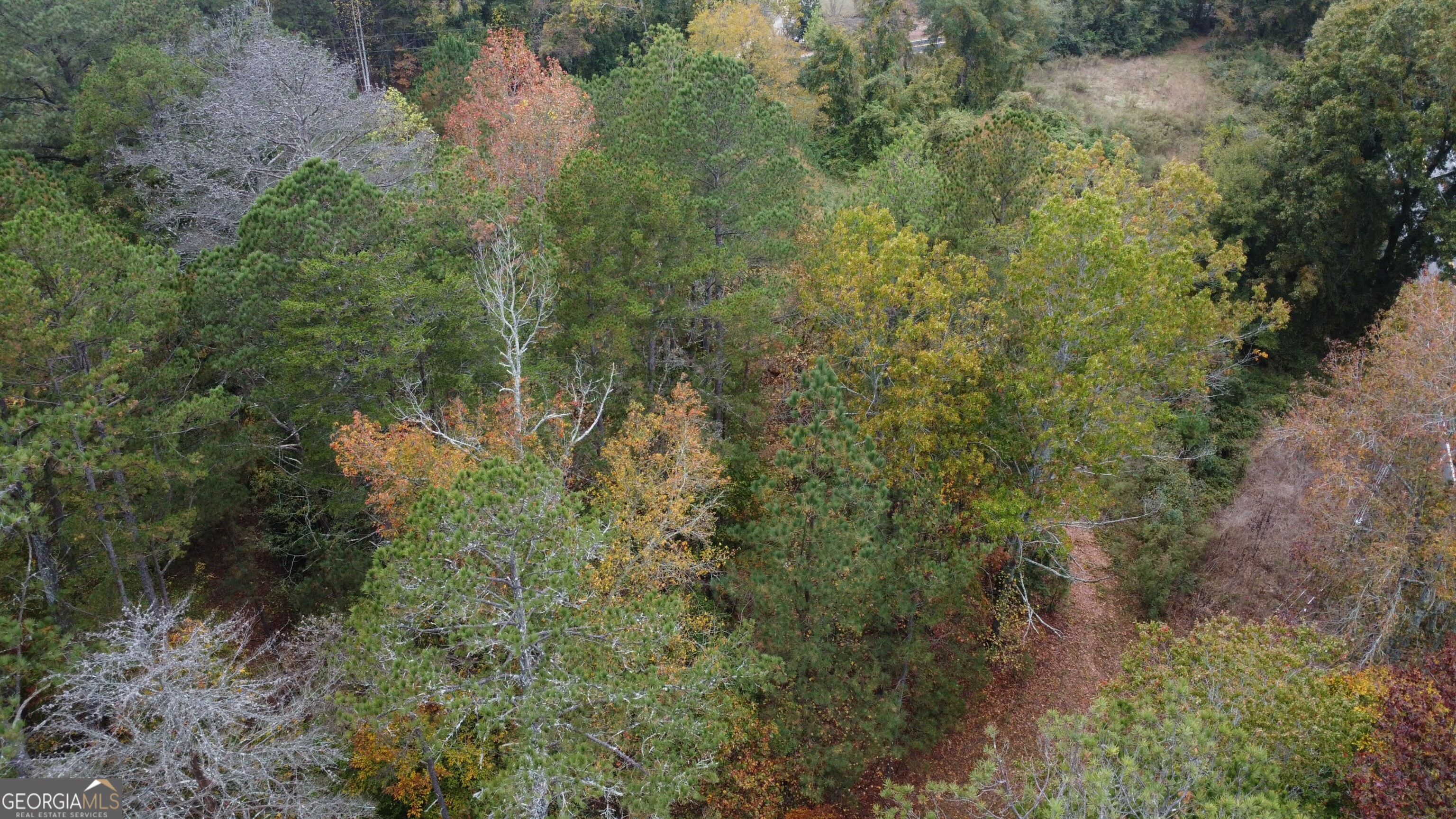 3069 Thompson Mill Road