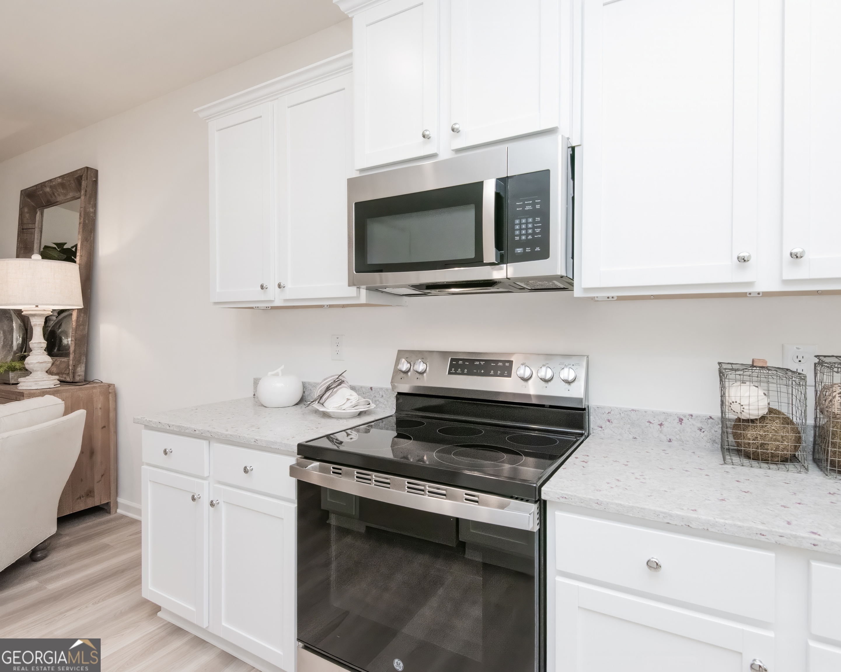 1569 Salem Drive # 85