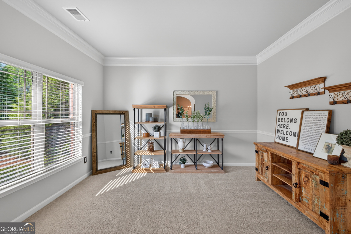 928 Shannon Mist Drive