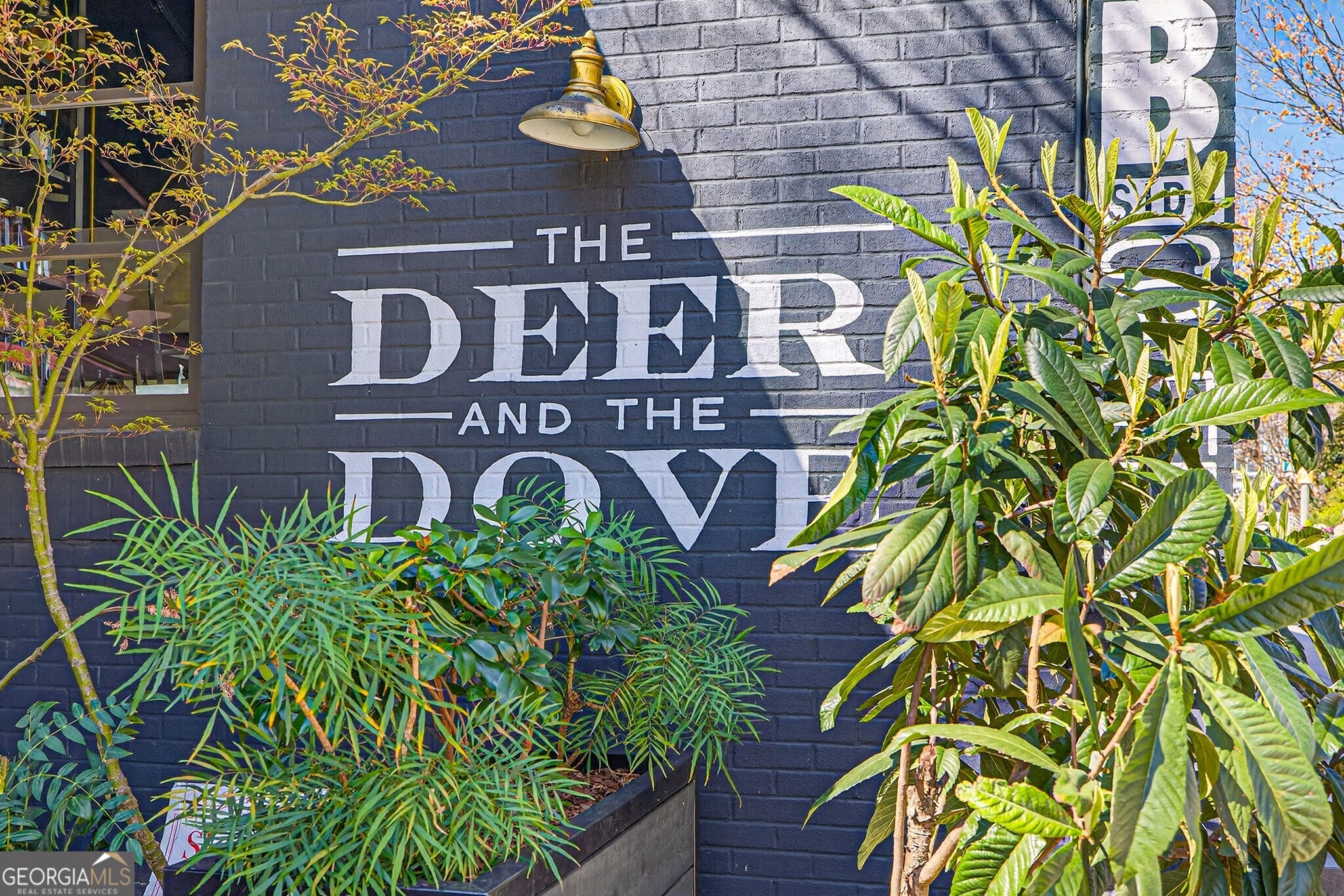 422 Cedar Dust Drive