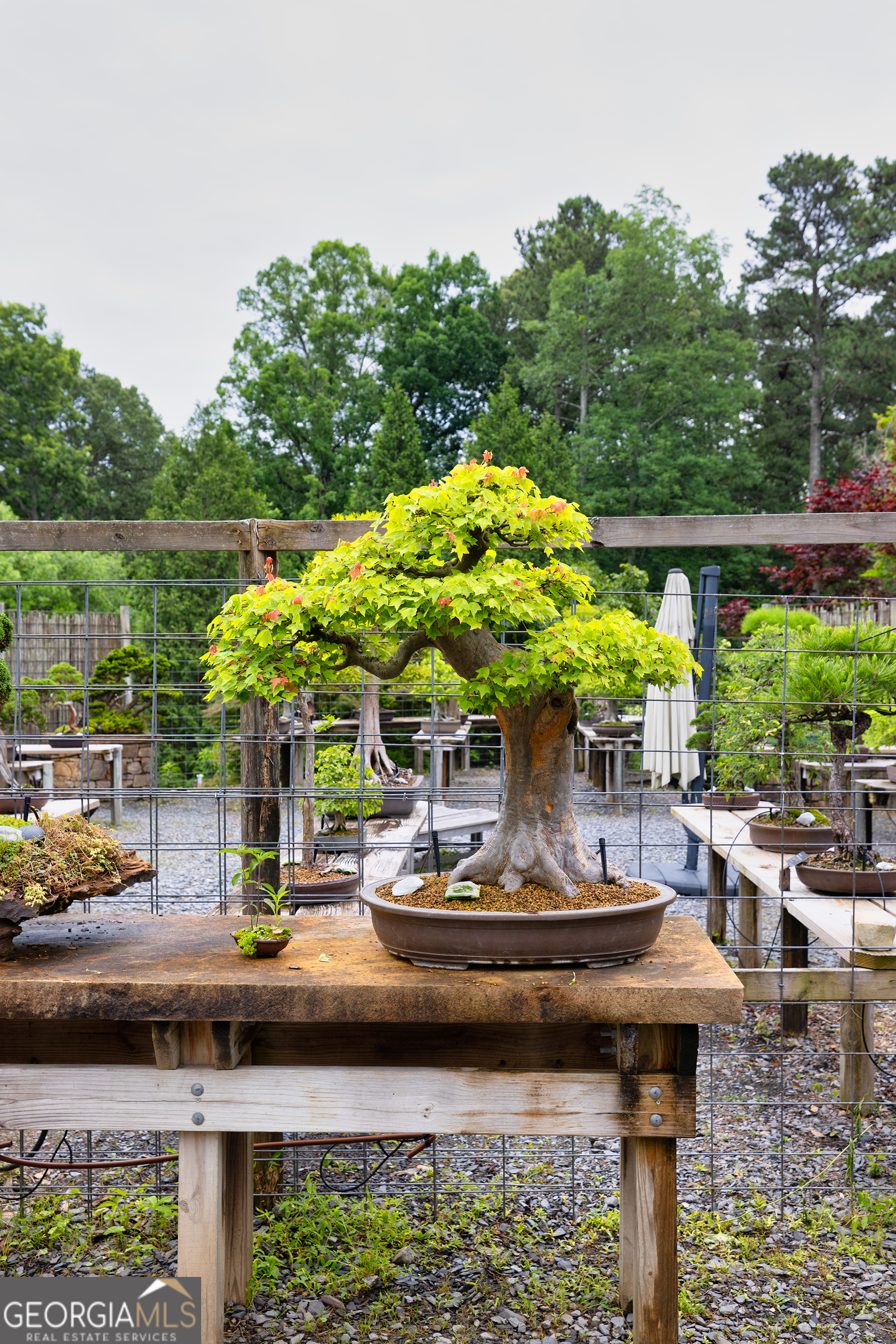 5604 Meadowstone Walk