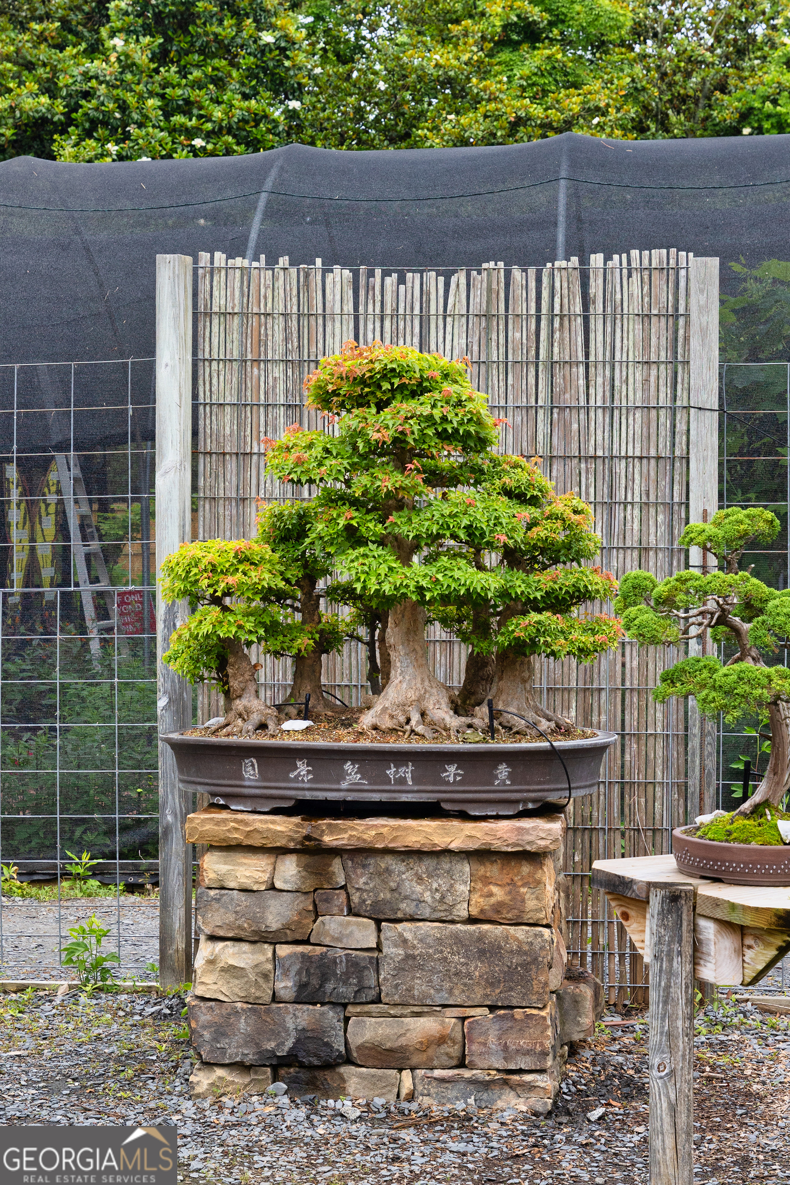 5604 Meadowstone Walk