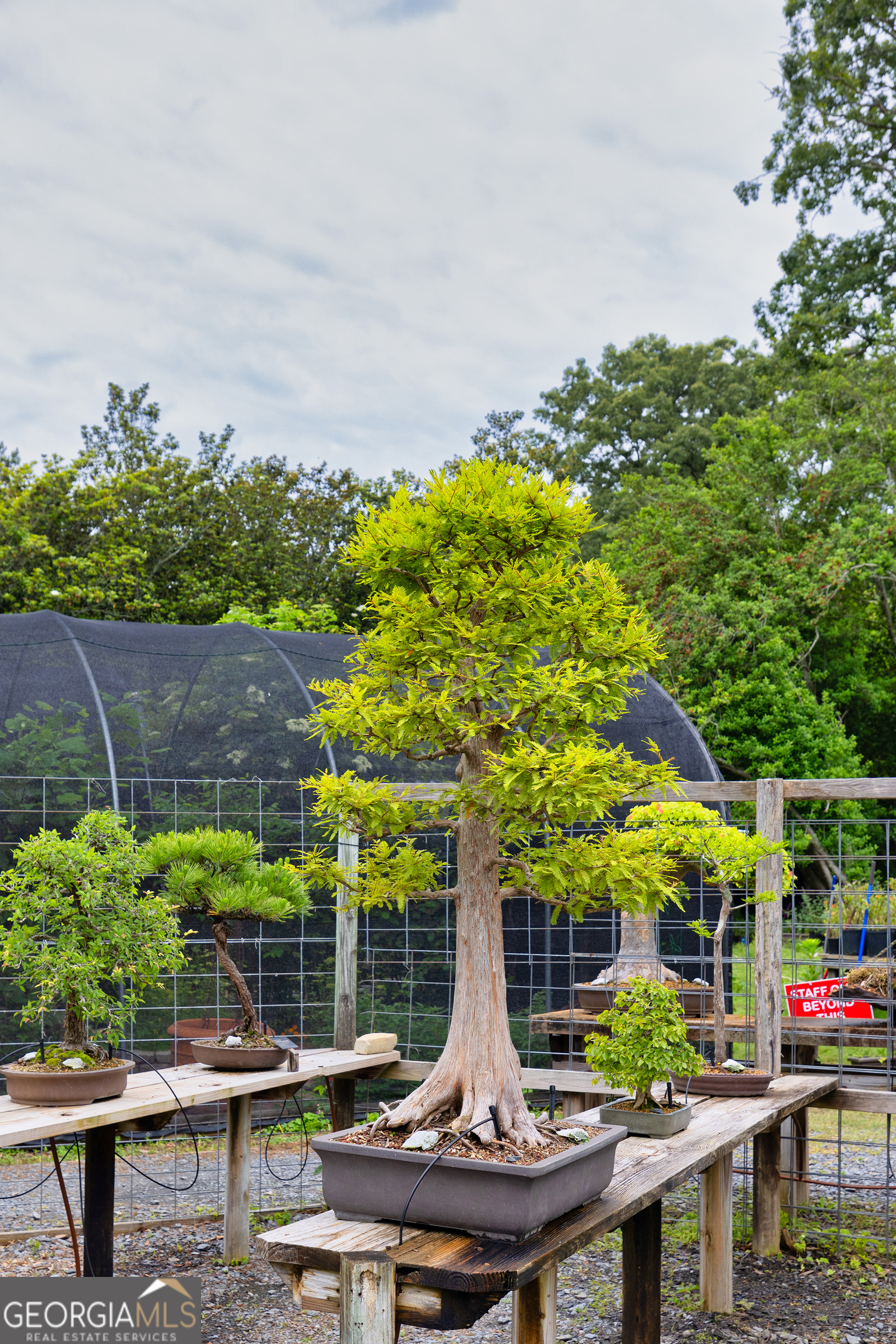 5604 Meadowstone Walk