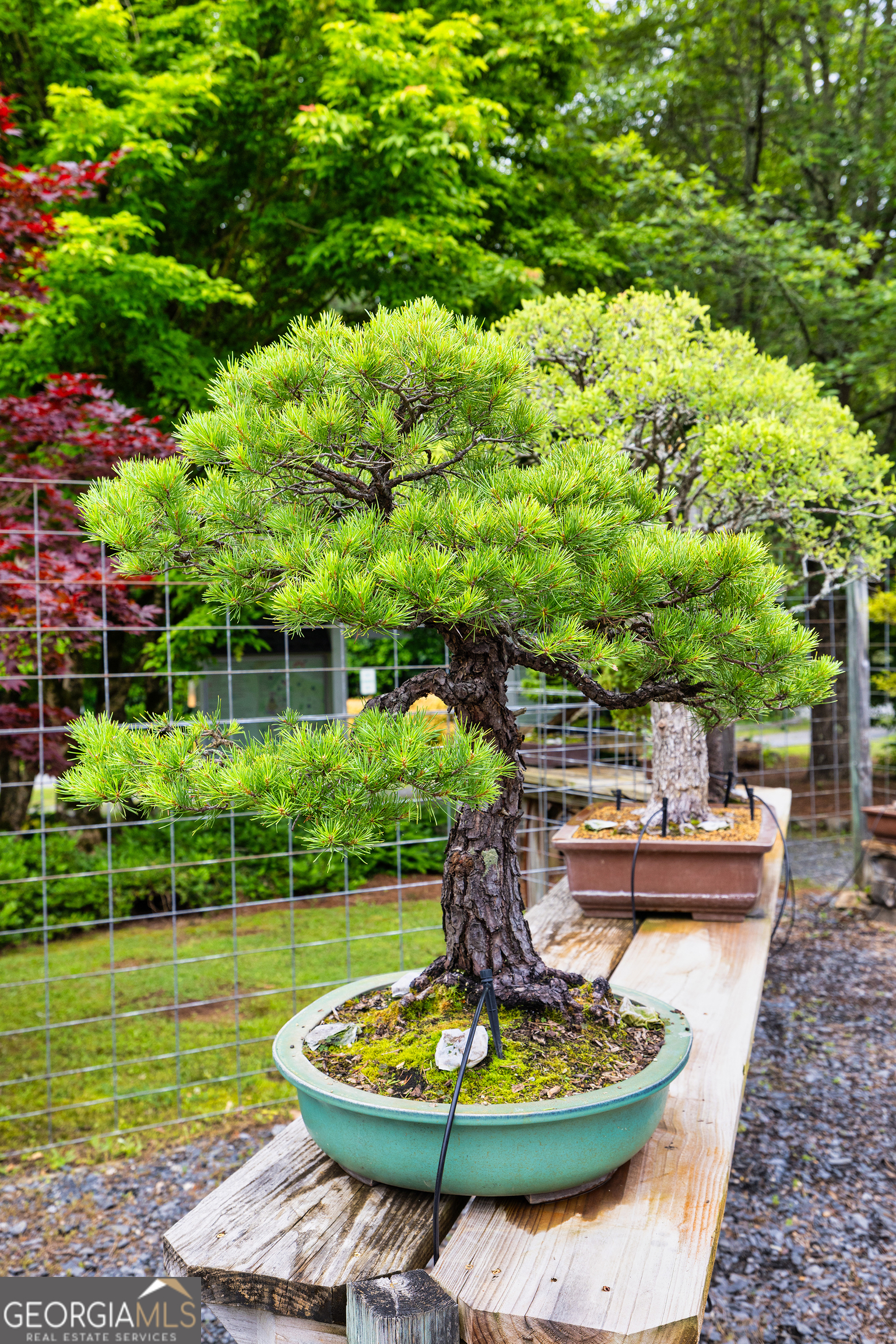 5604 Meadowstone Walk