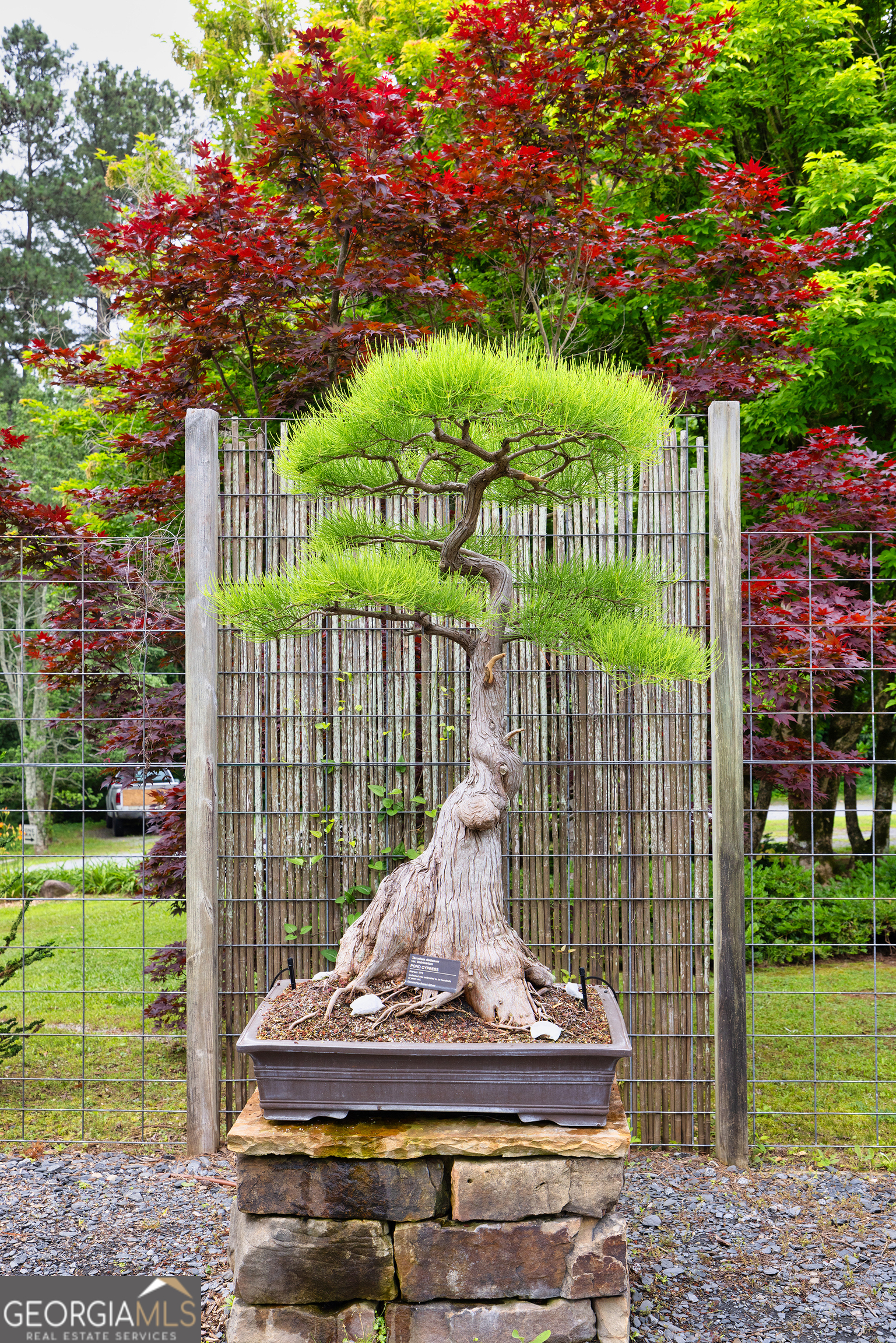 5604 Meadowstone Walk