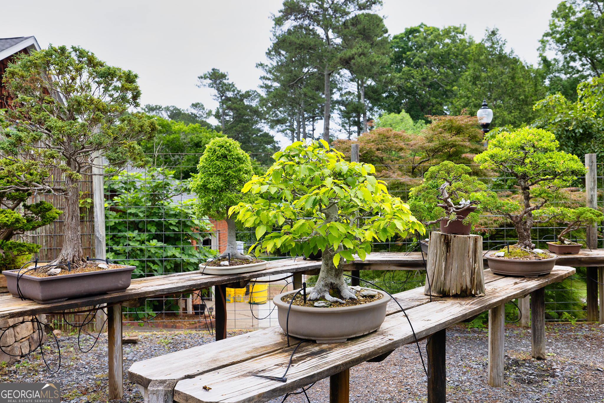 5604 Meadowstone Walk