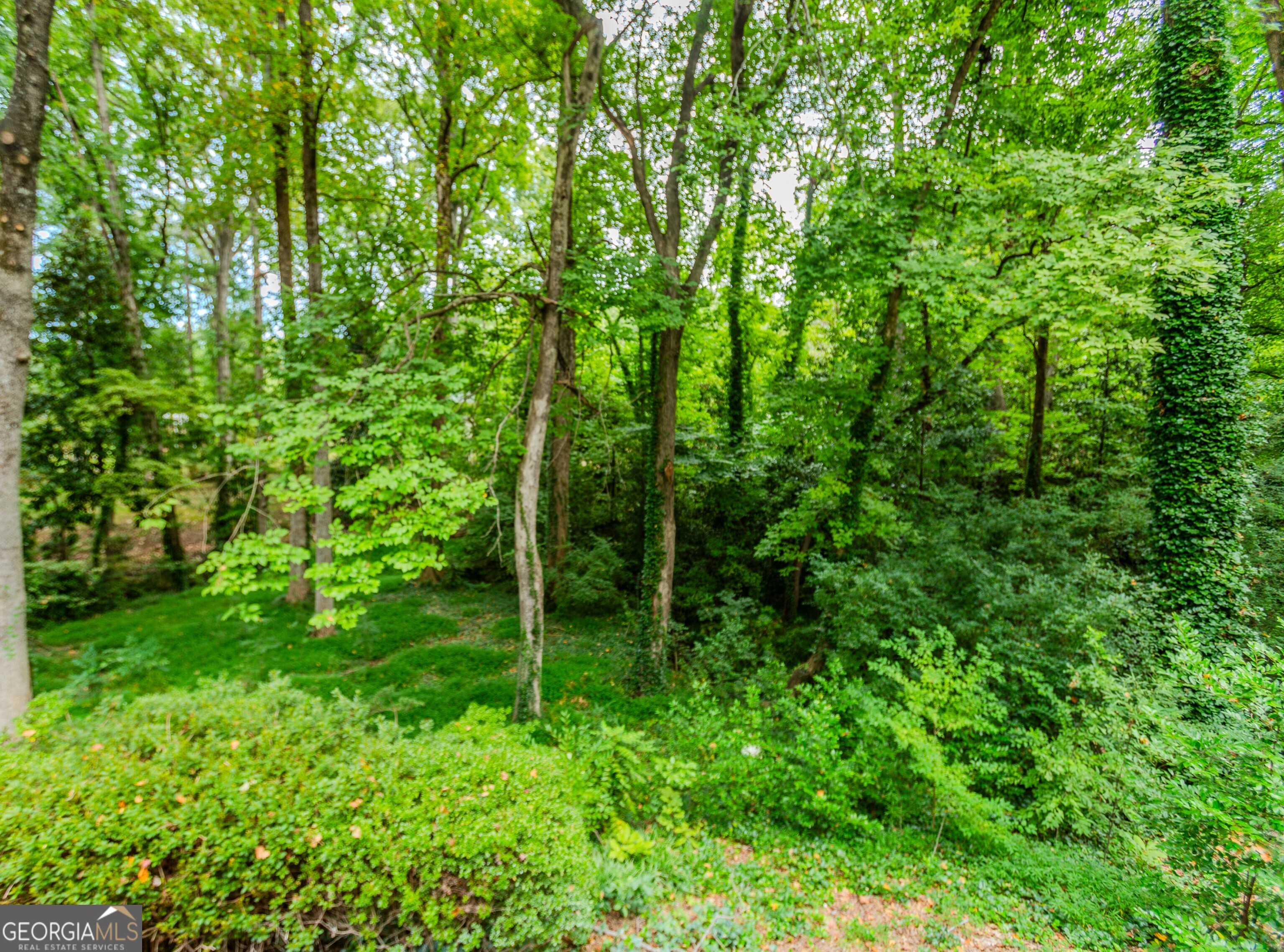 247 Old Timber Road