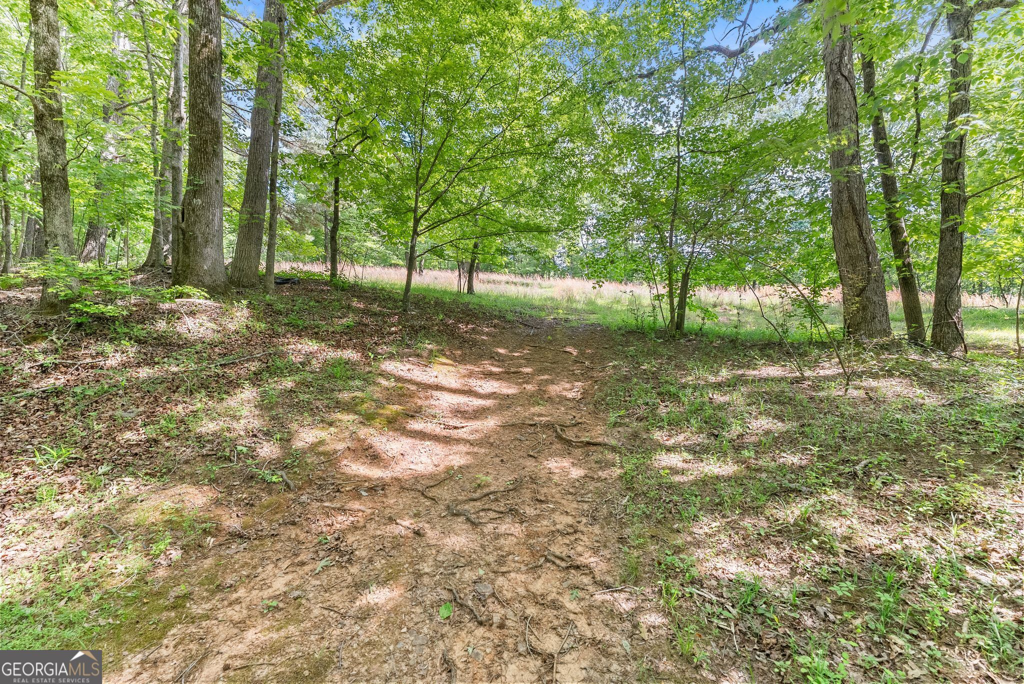 5141 Strickland Road