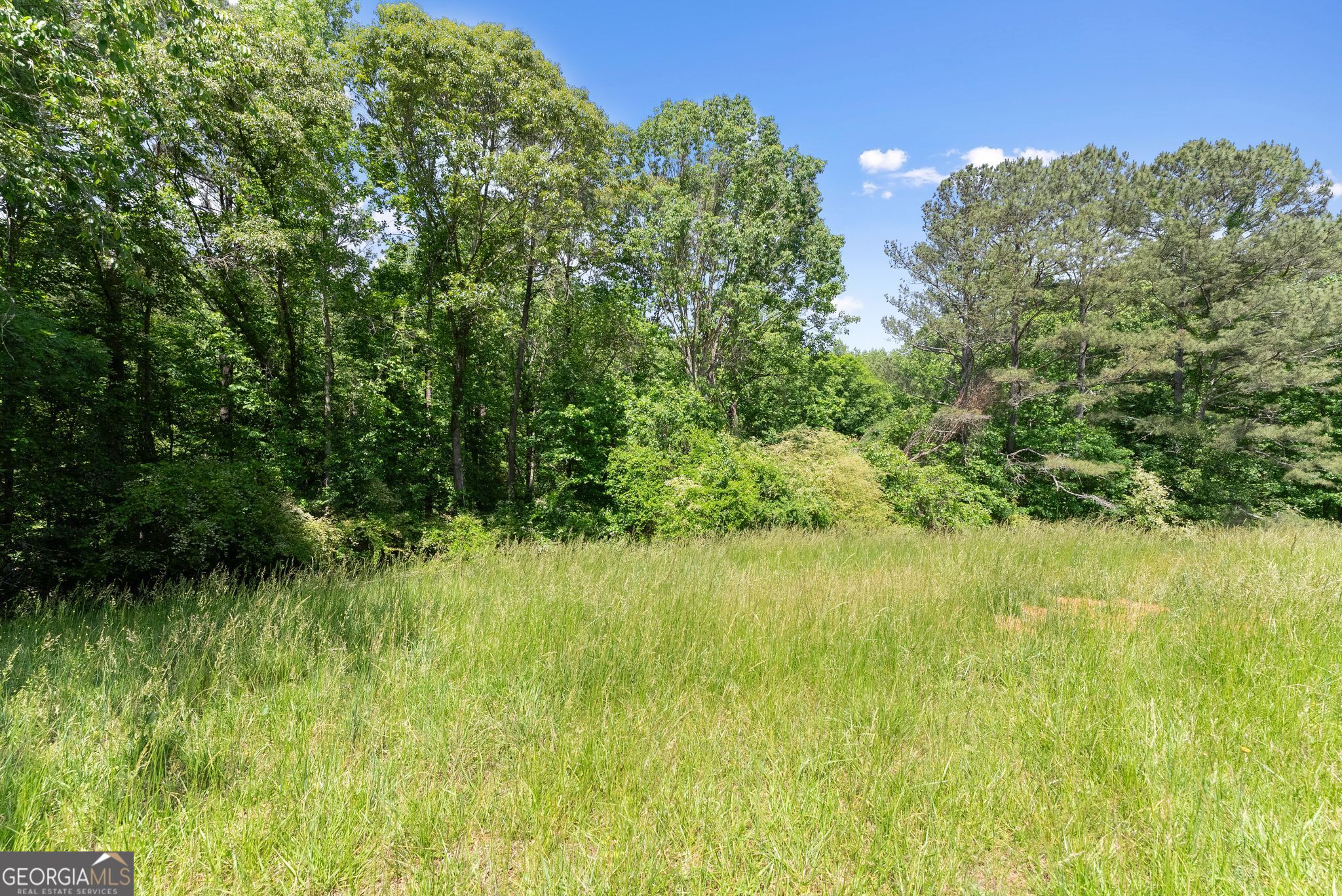 5137 Strickland Rd