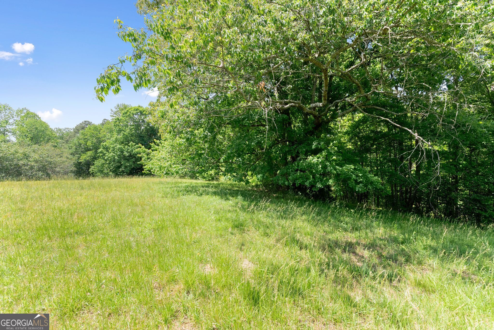 5137 Strickland Rd