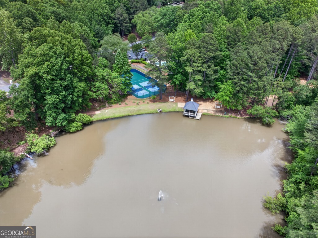 465 Emerald Lake Lane
