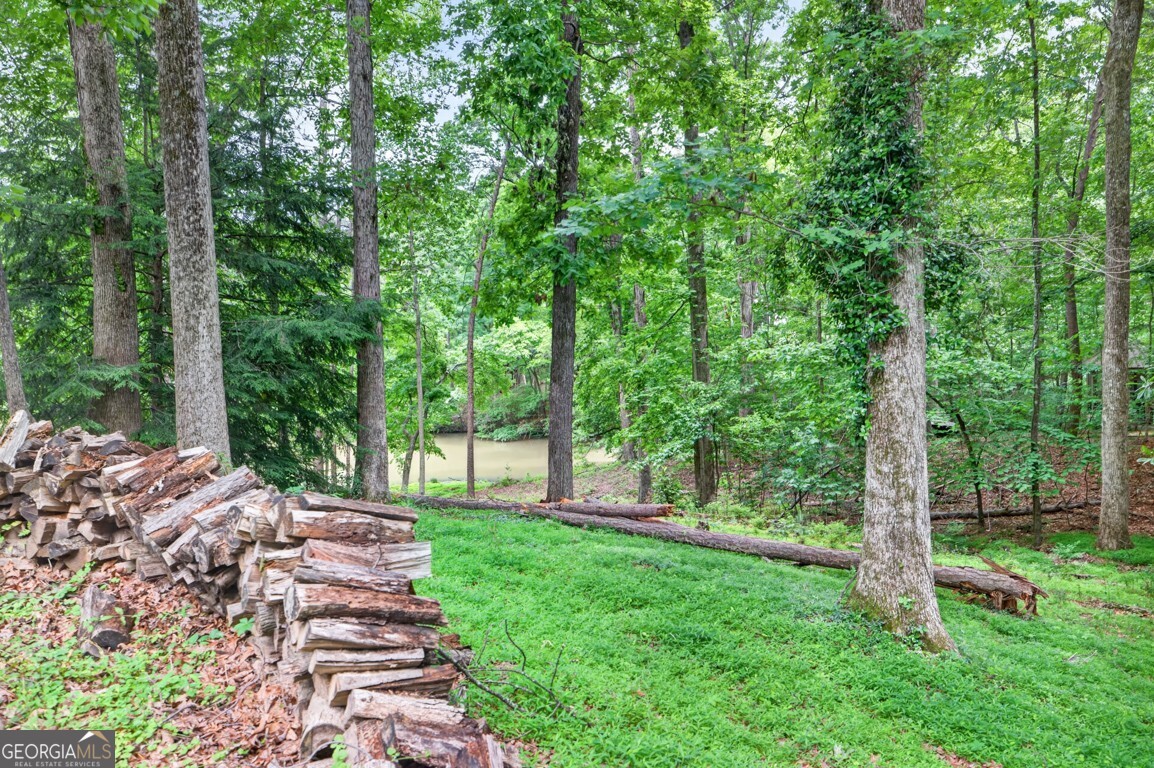 465 Emerald Lake Lane