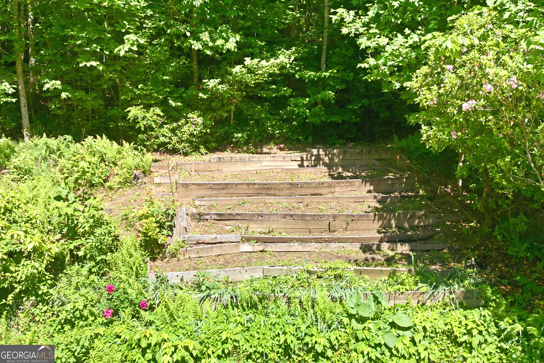46 Spartan Lane