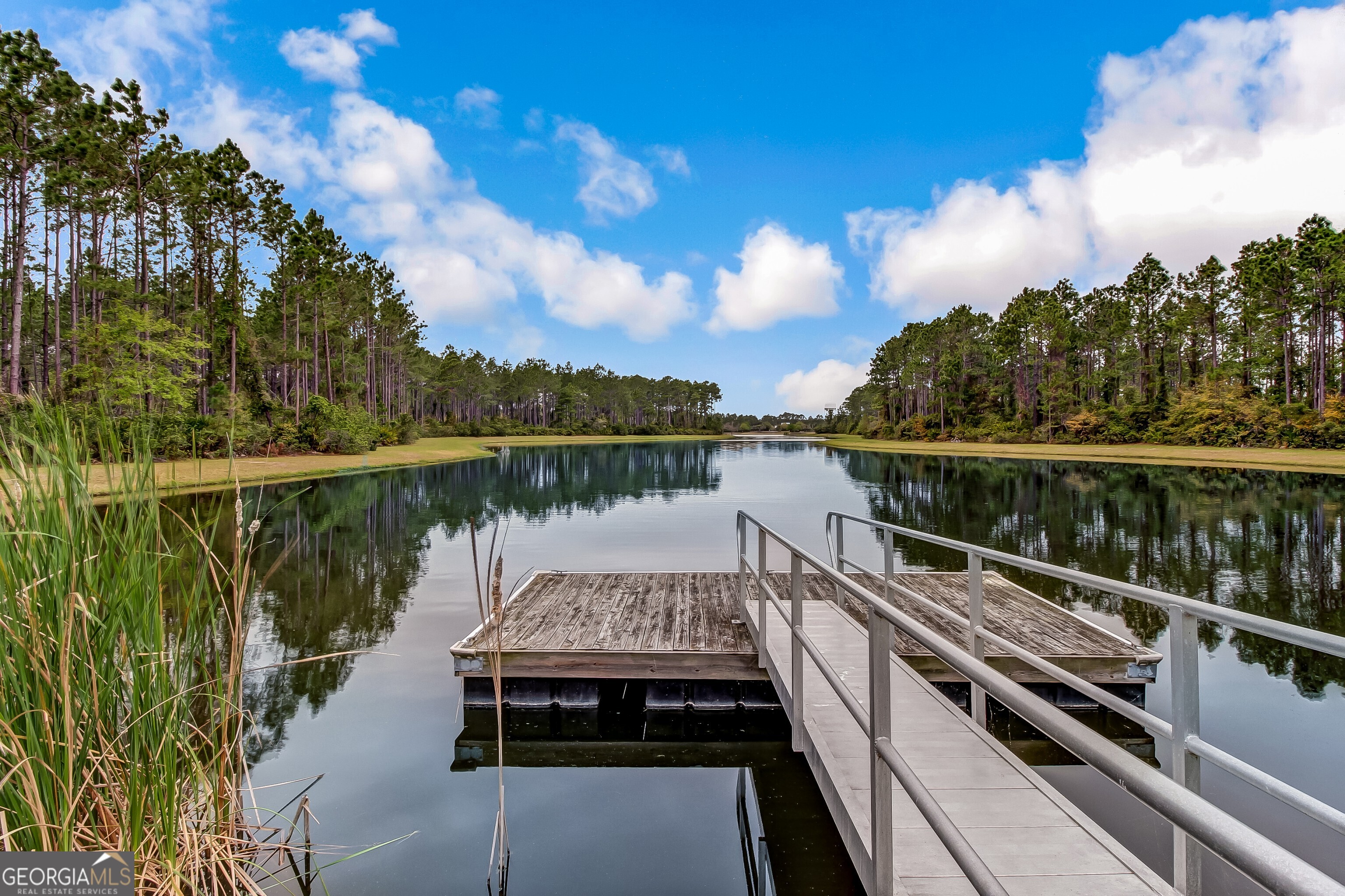 101 Spanish Moss Court, St. Marys