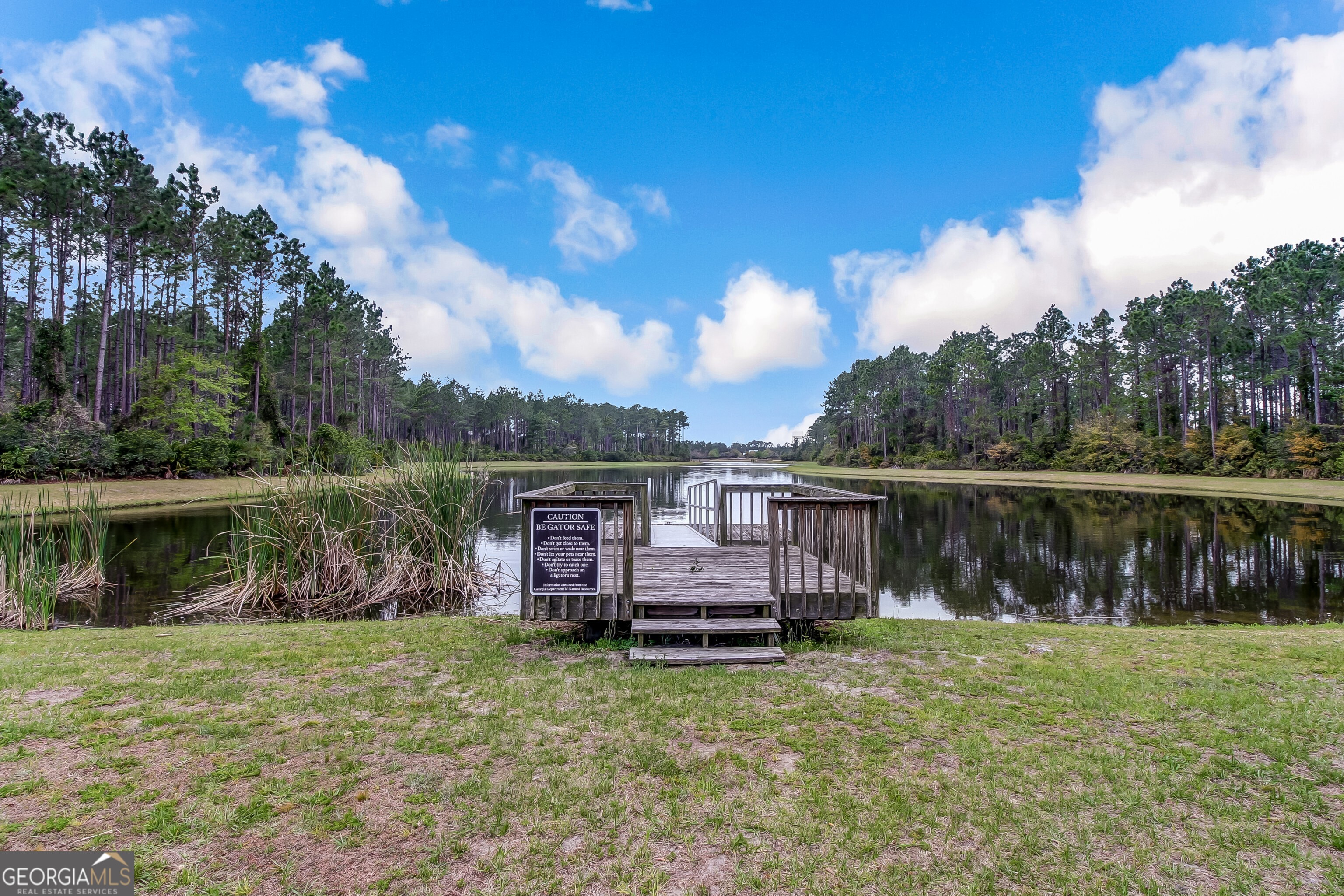101 Spanish Moss Court, St. Marys