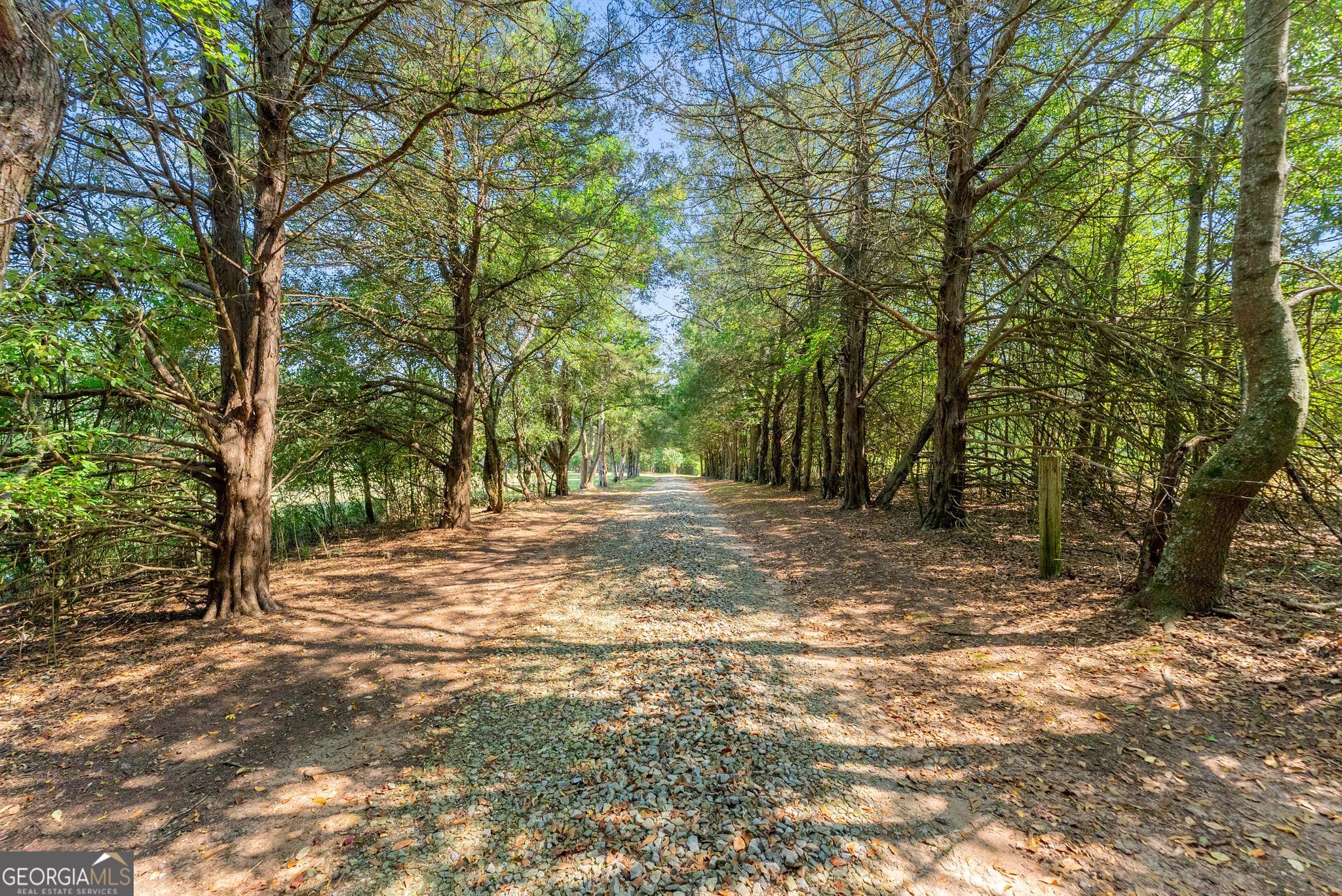 1556 Fred Goss Road