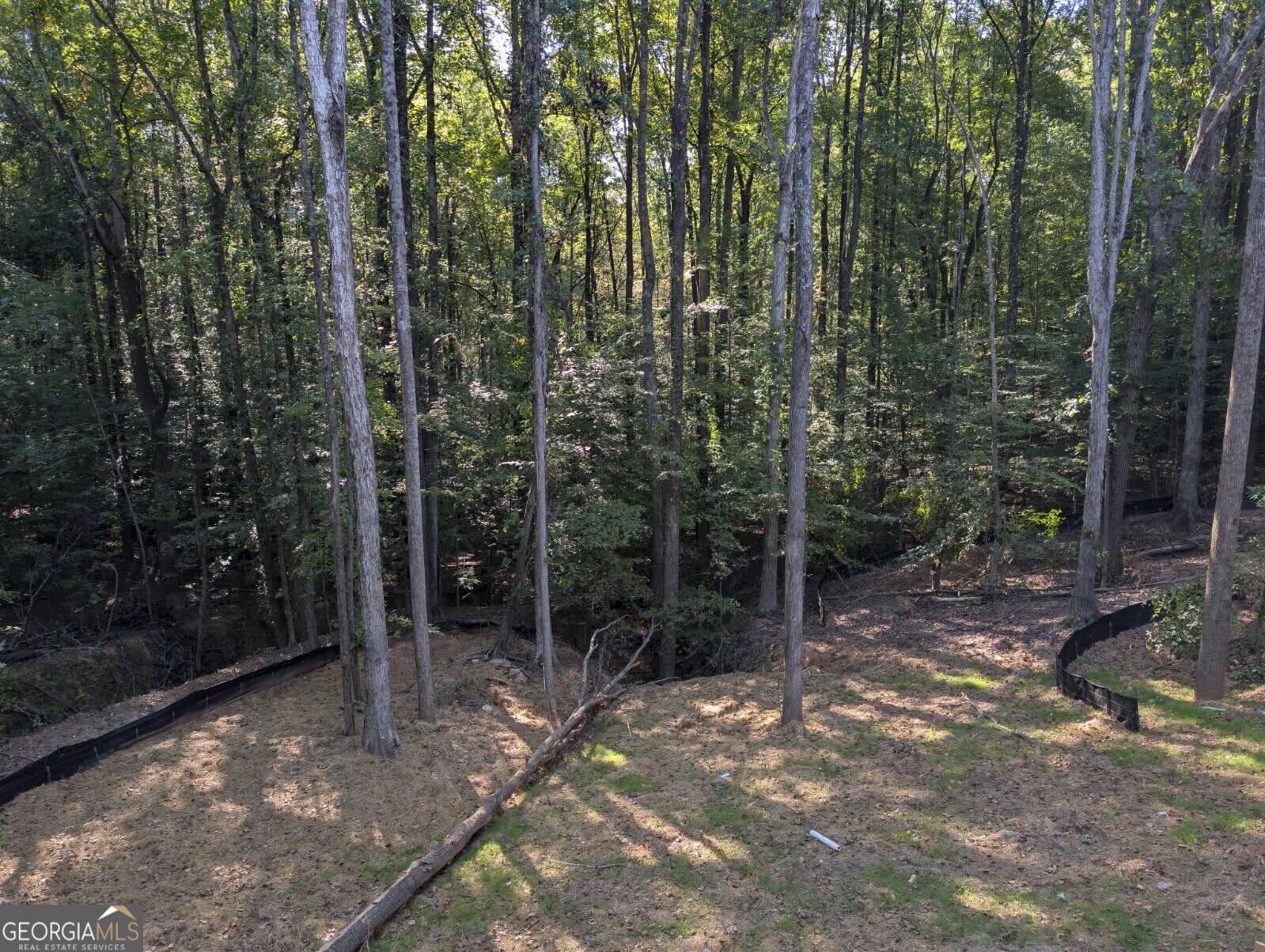 8025 Bethel Road