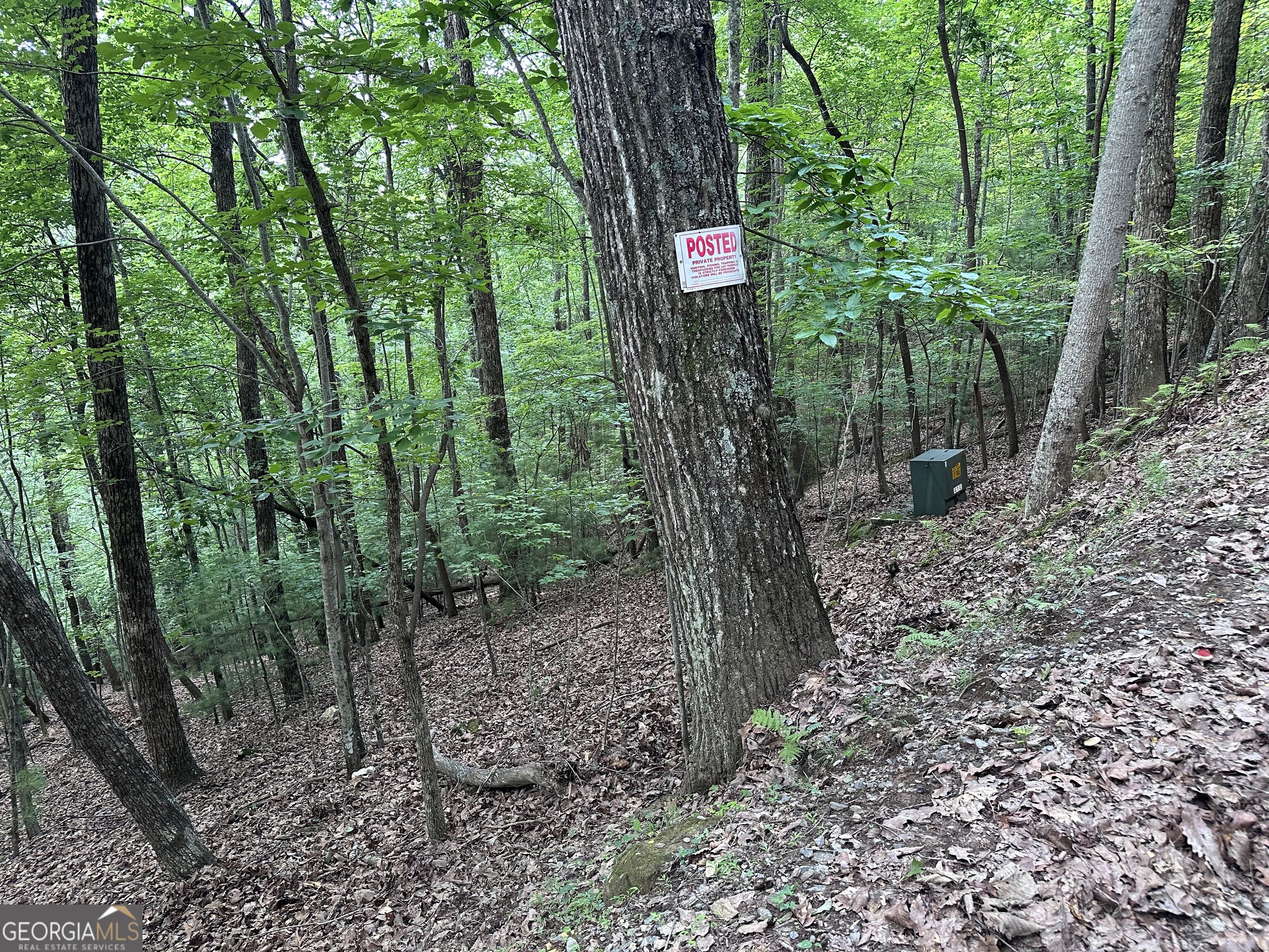 839 Enchanting Circle