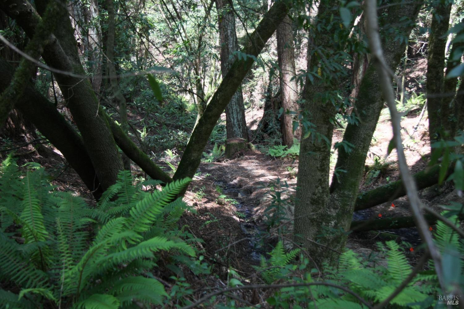 10966 Barnett Valley Road